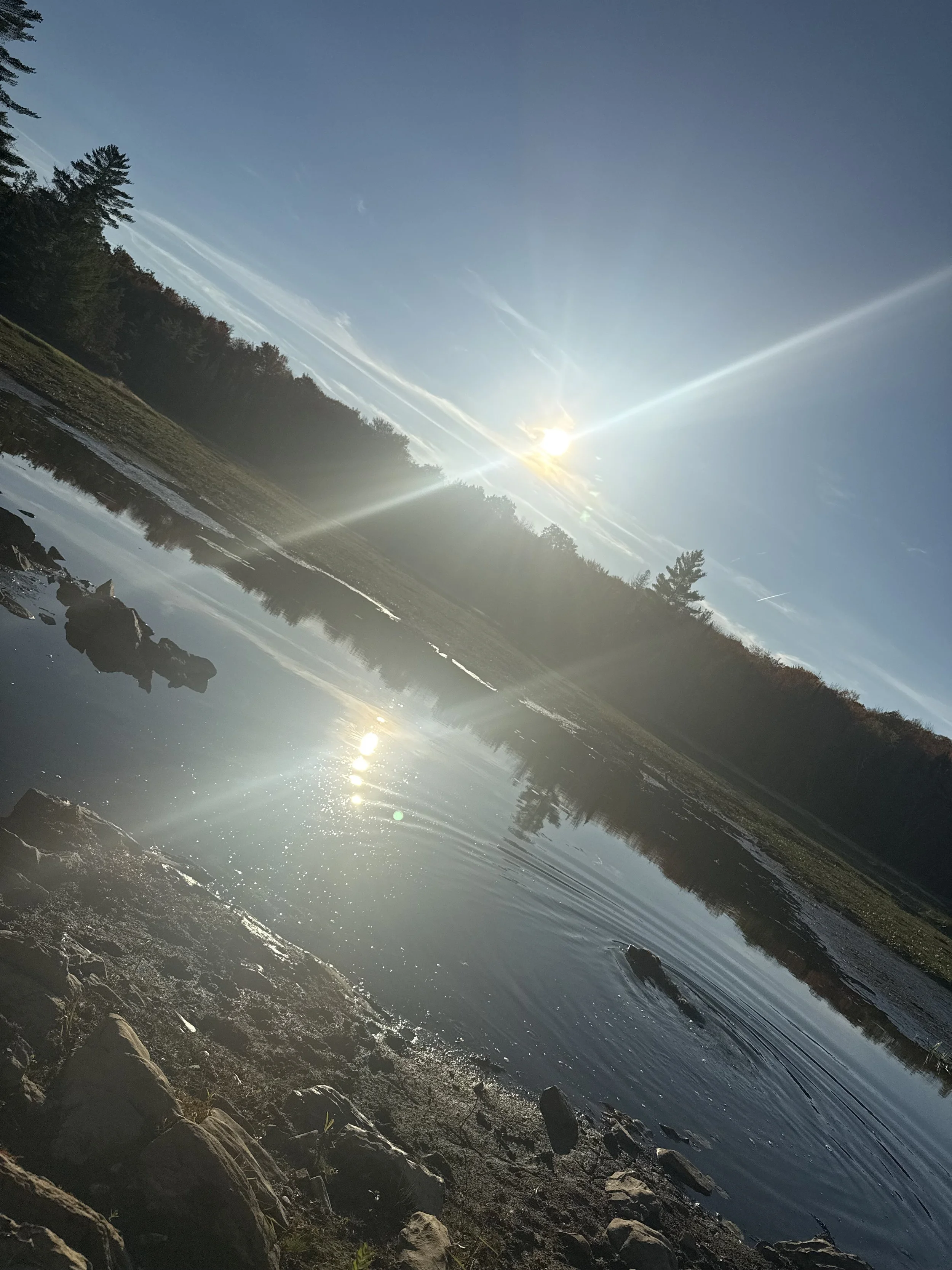 The Impact of Information Overload on Our Bodies and Minds