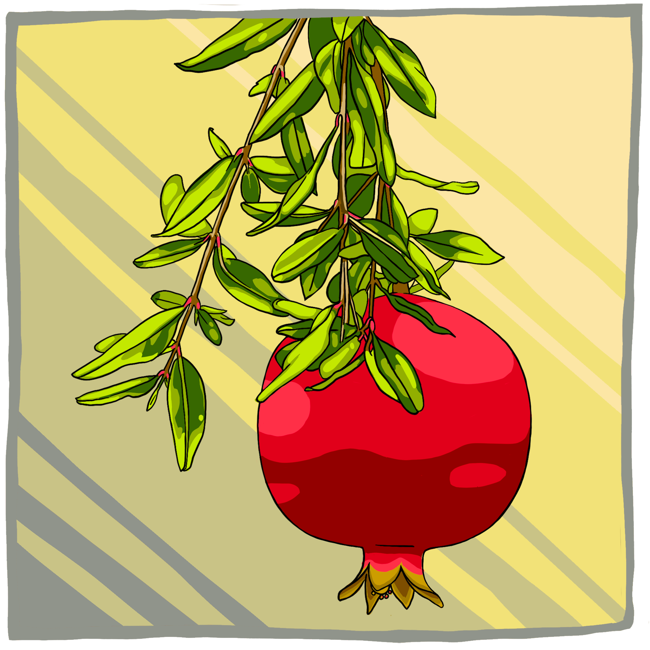 pomegranate