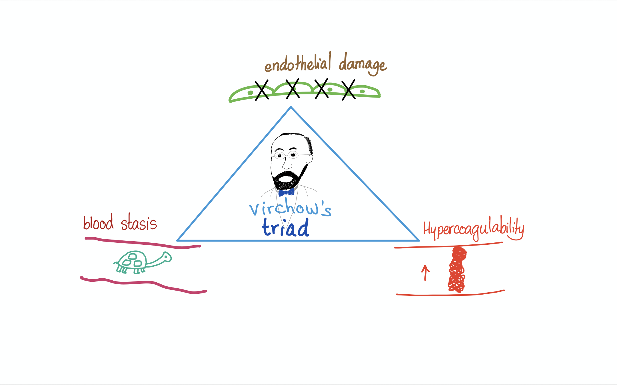 Bleeding & Coagulation PDFs (Illustrated Notes) — Medicosis