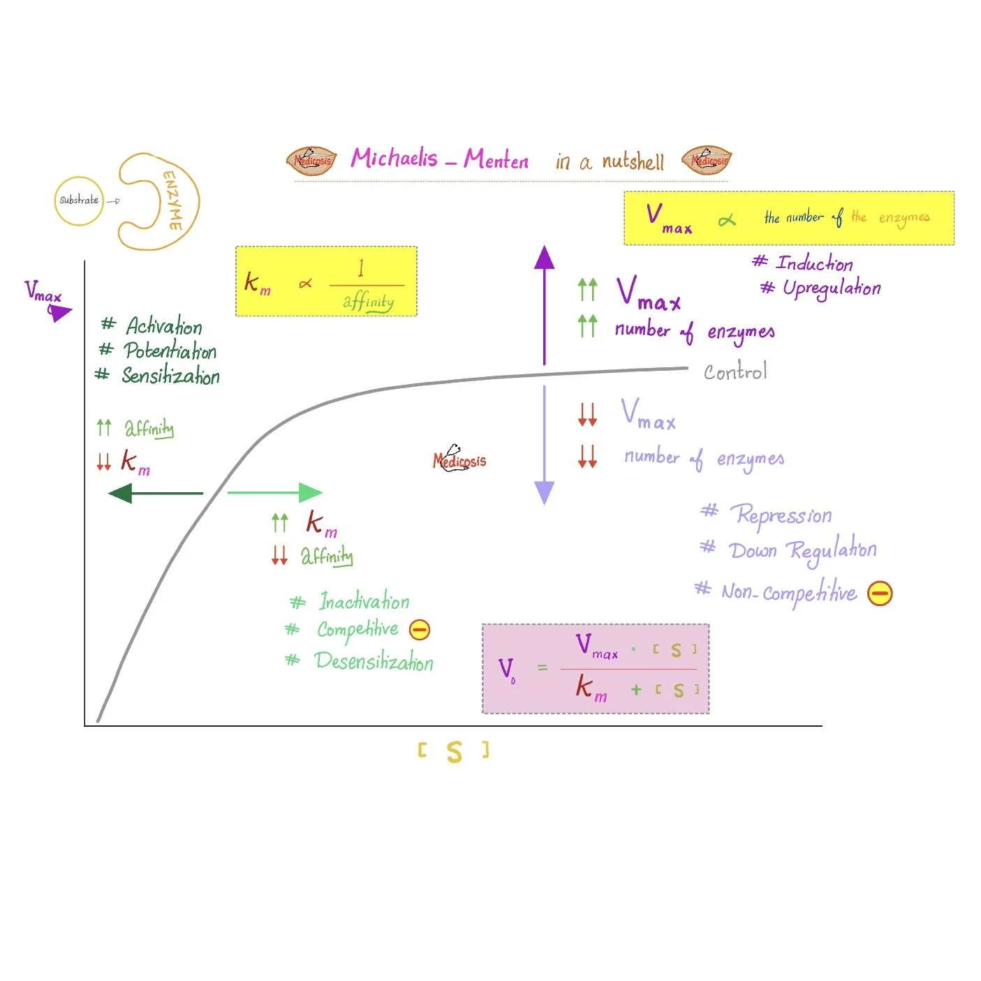 Microbiology & Infectious Diseases PDFs [Part 1] — Medicosis Perfectionalis