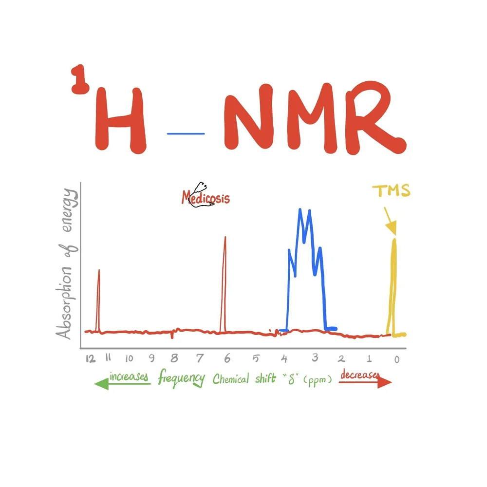 Neuroanatomy visual data 5
