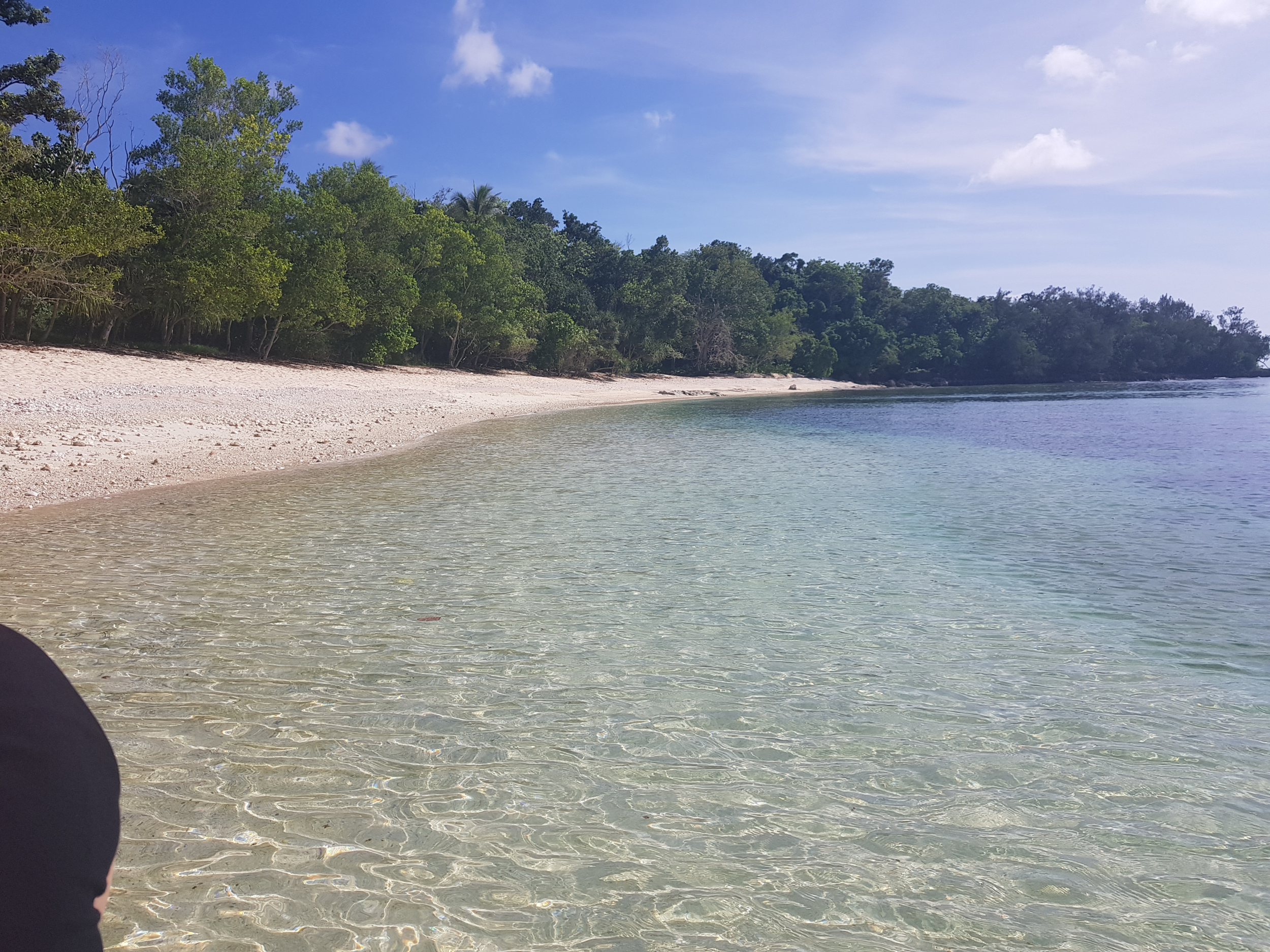 Moso Back Beach.png