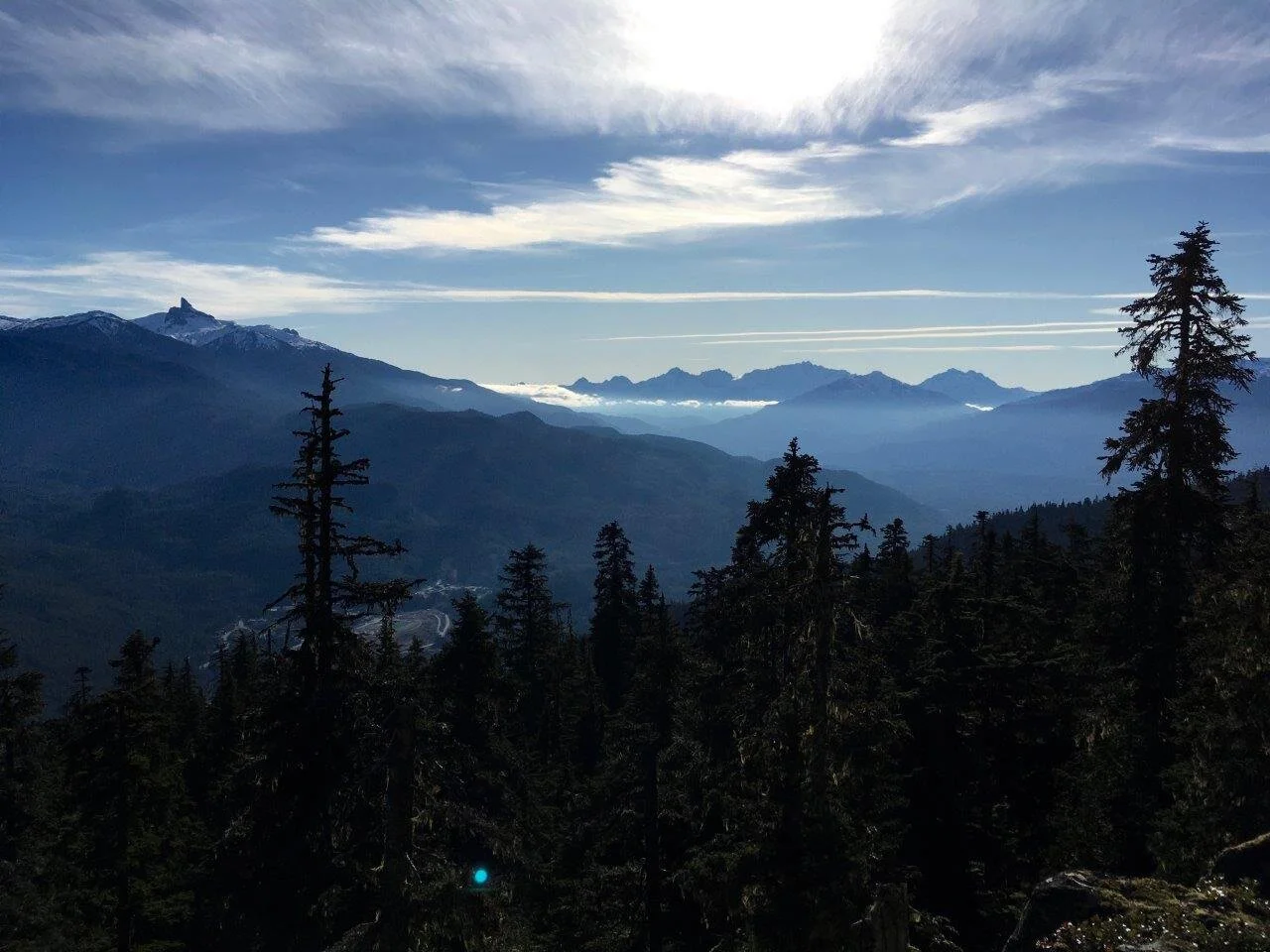 Trails Update: Nov 08, 2019