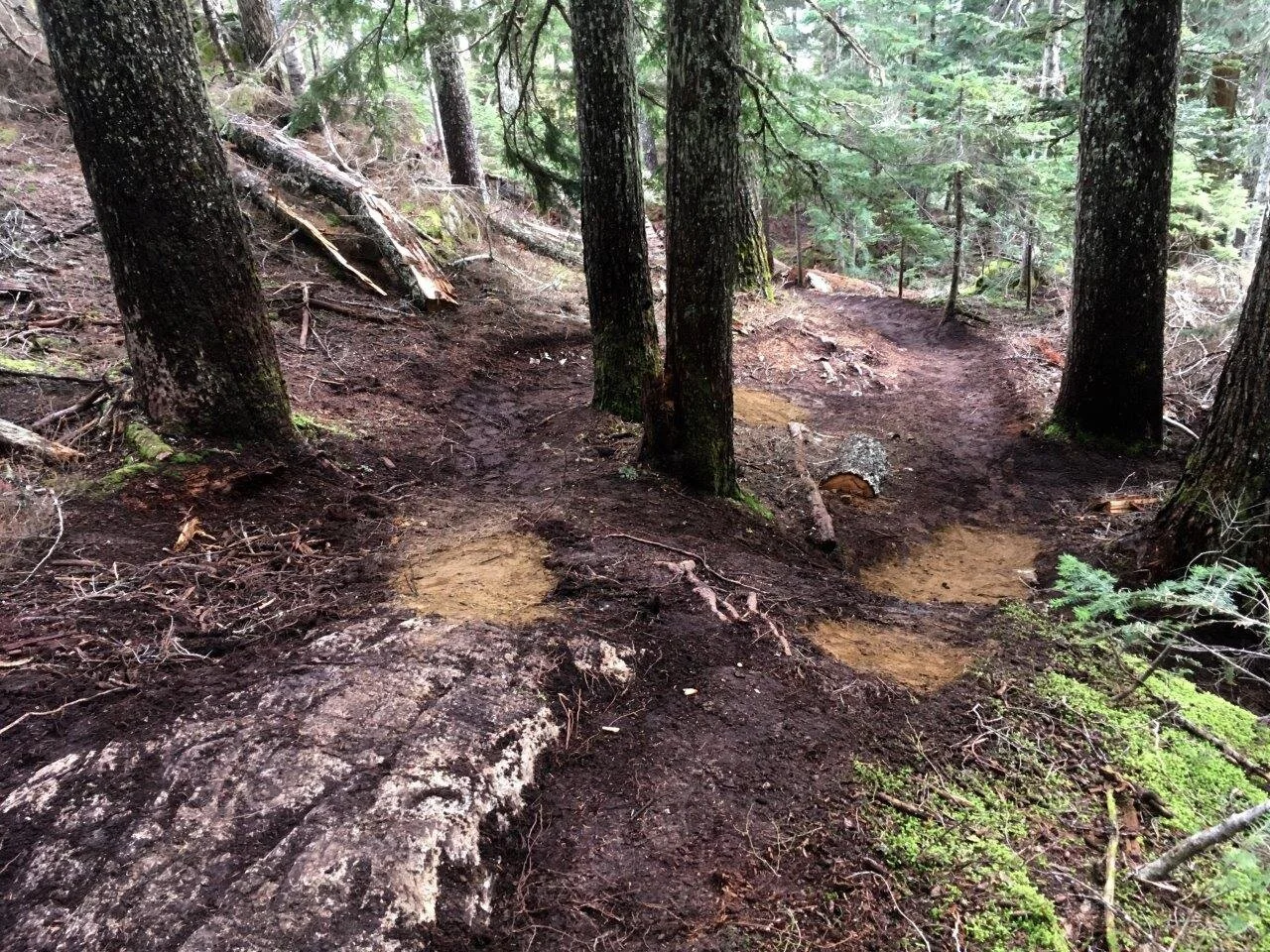 Trails Update: Oct 25, 2019
