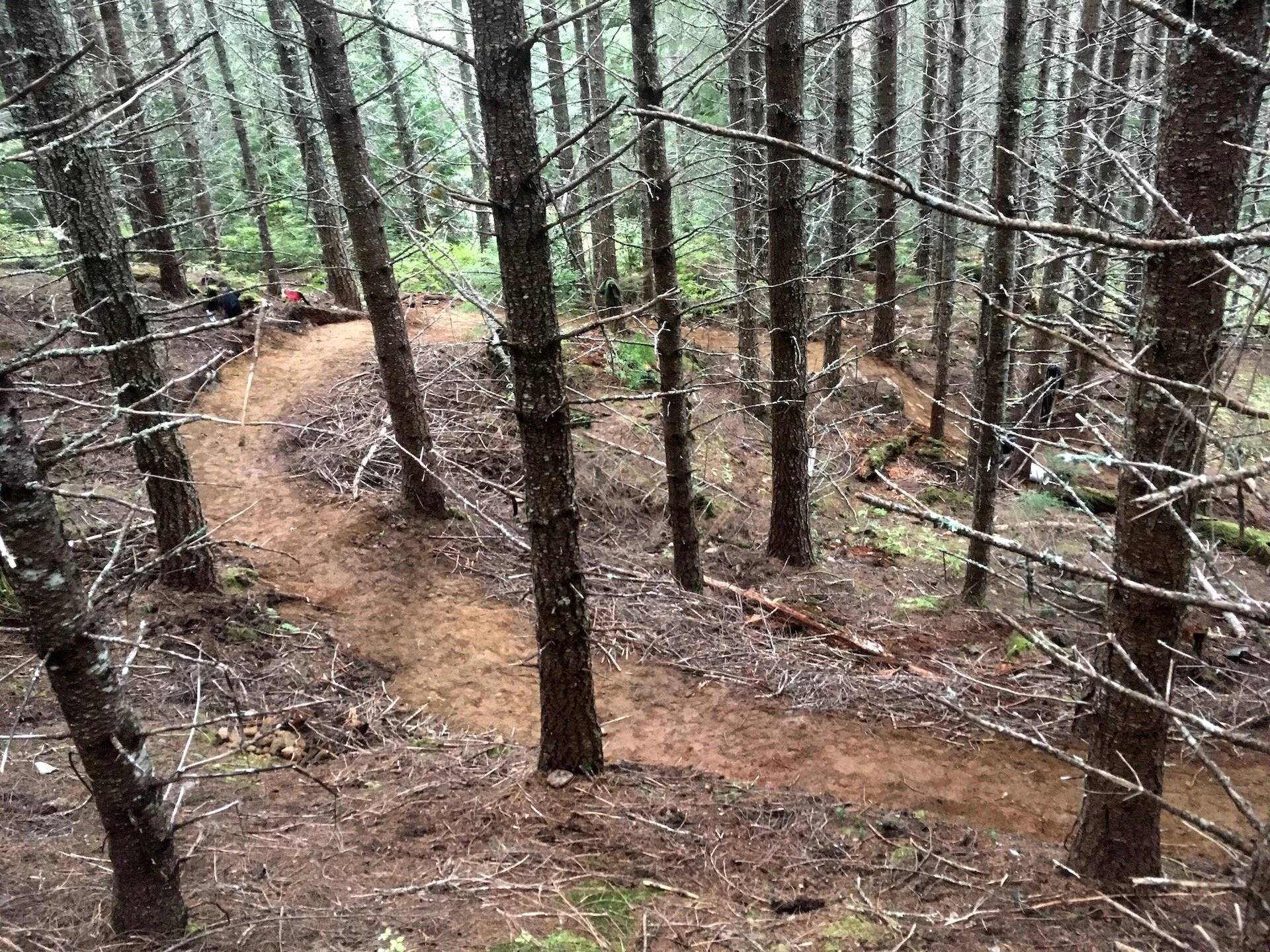 Trails Update: Oct 4, 2019