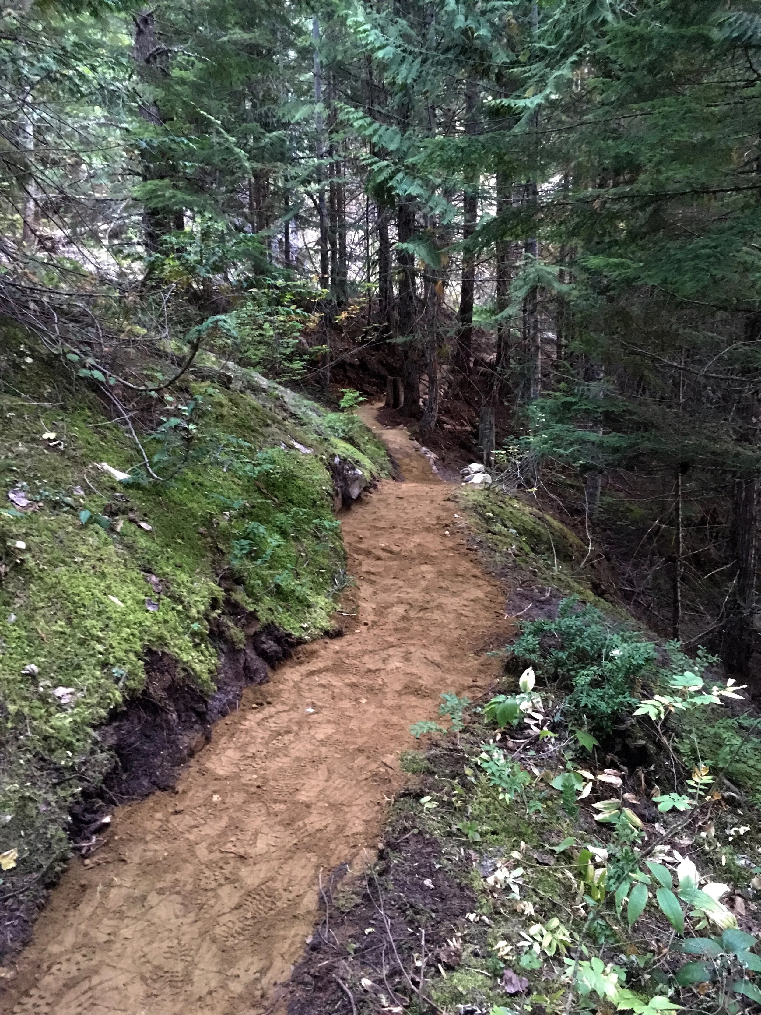 Trails Update: Sept 6, 2019