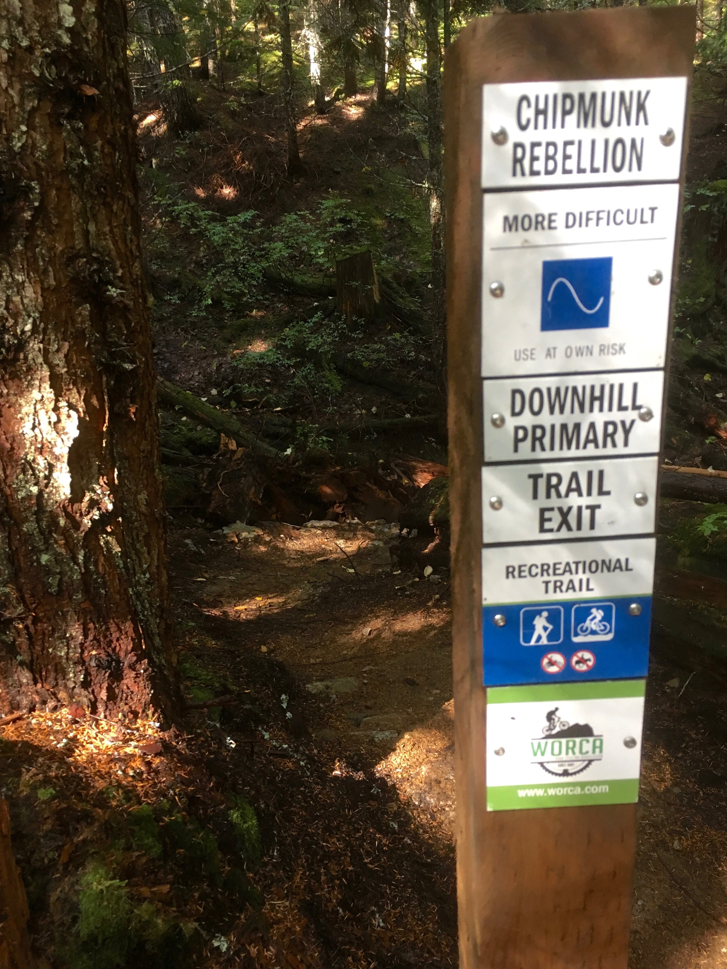 Trails Update: Sept 20, 2019
