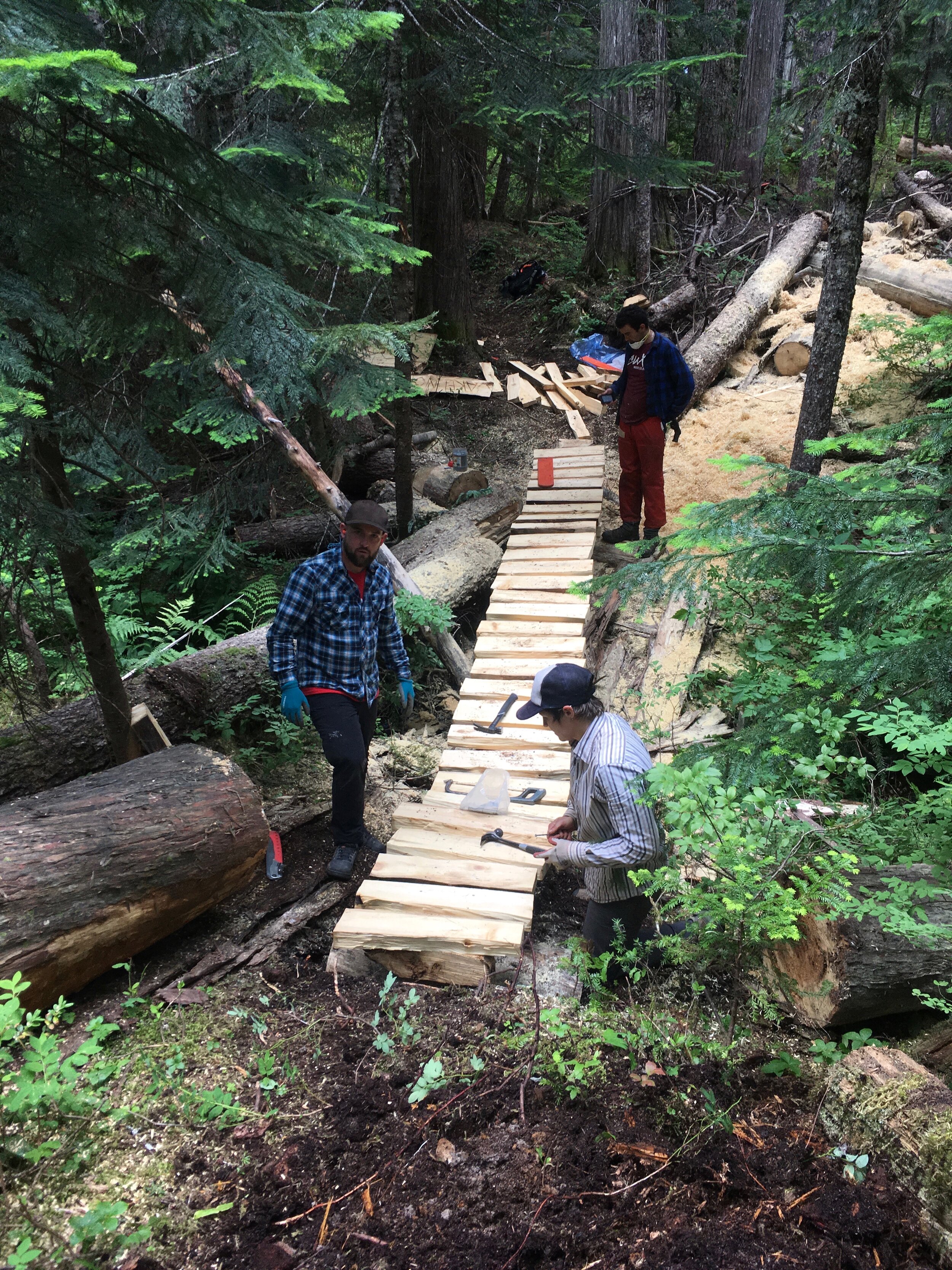 Trails Update: July 25, 2019
