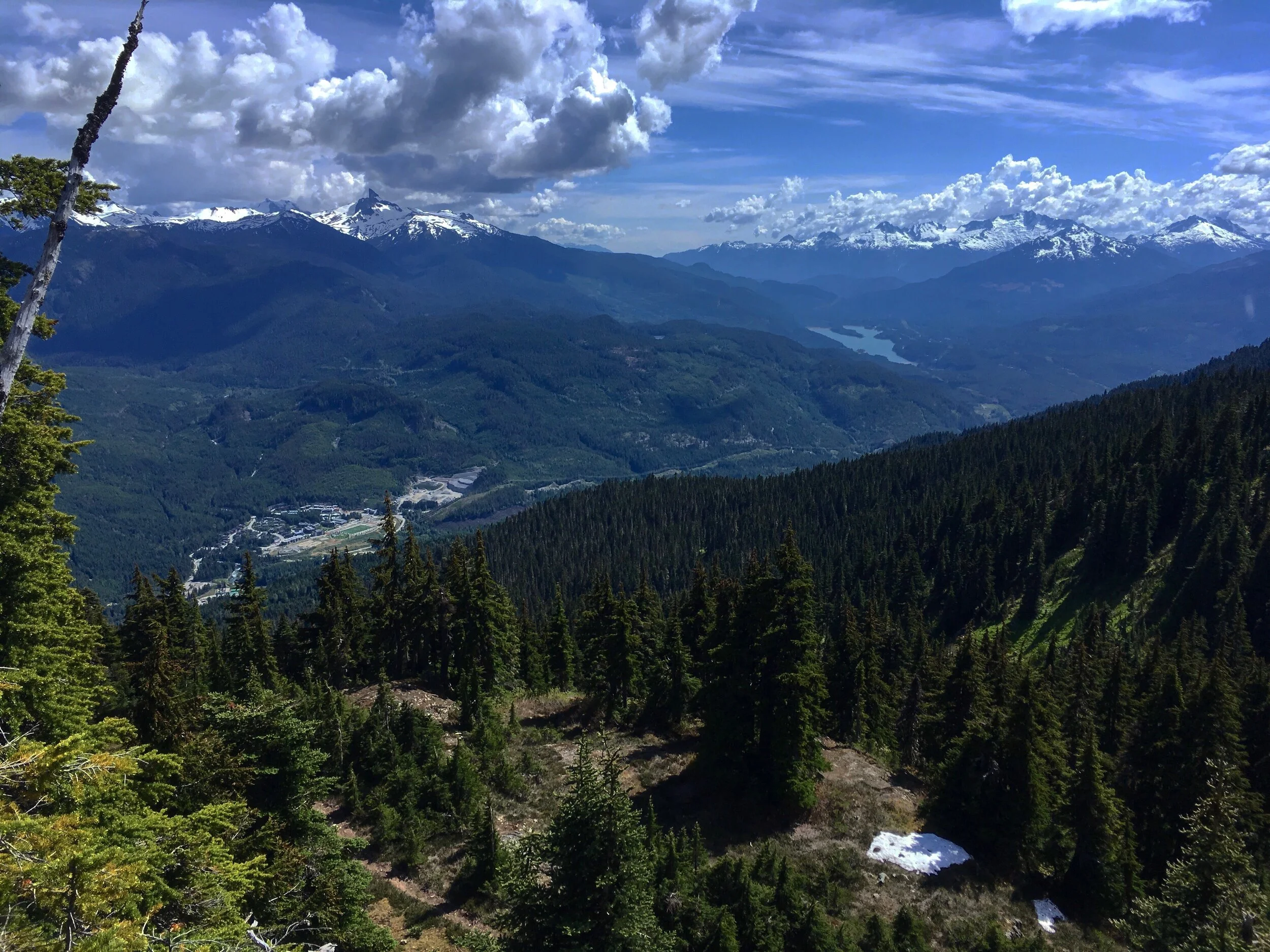 Trails Update: June 27, 2019