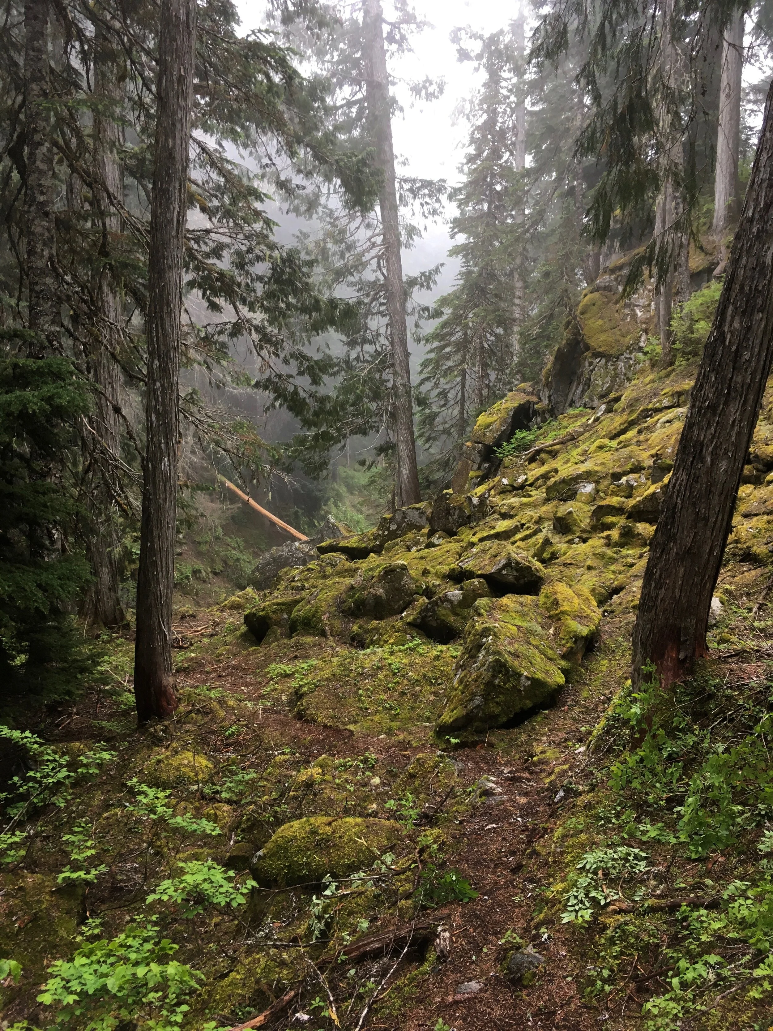 Trails Update: June 6, 2019