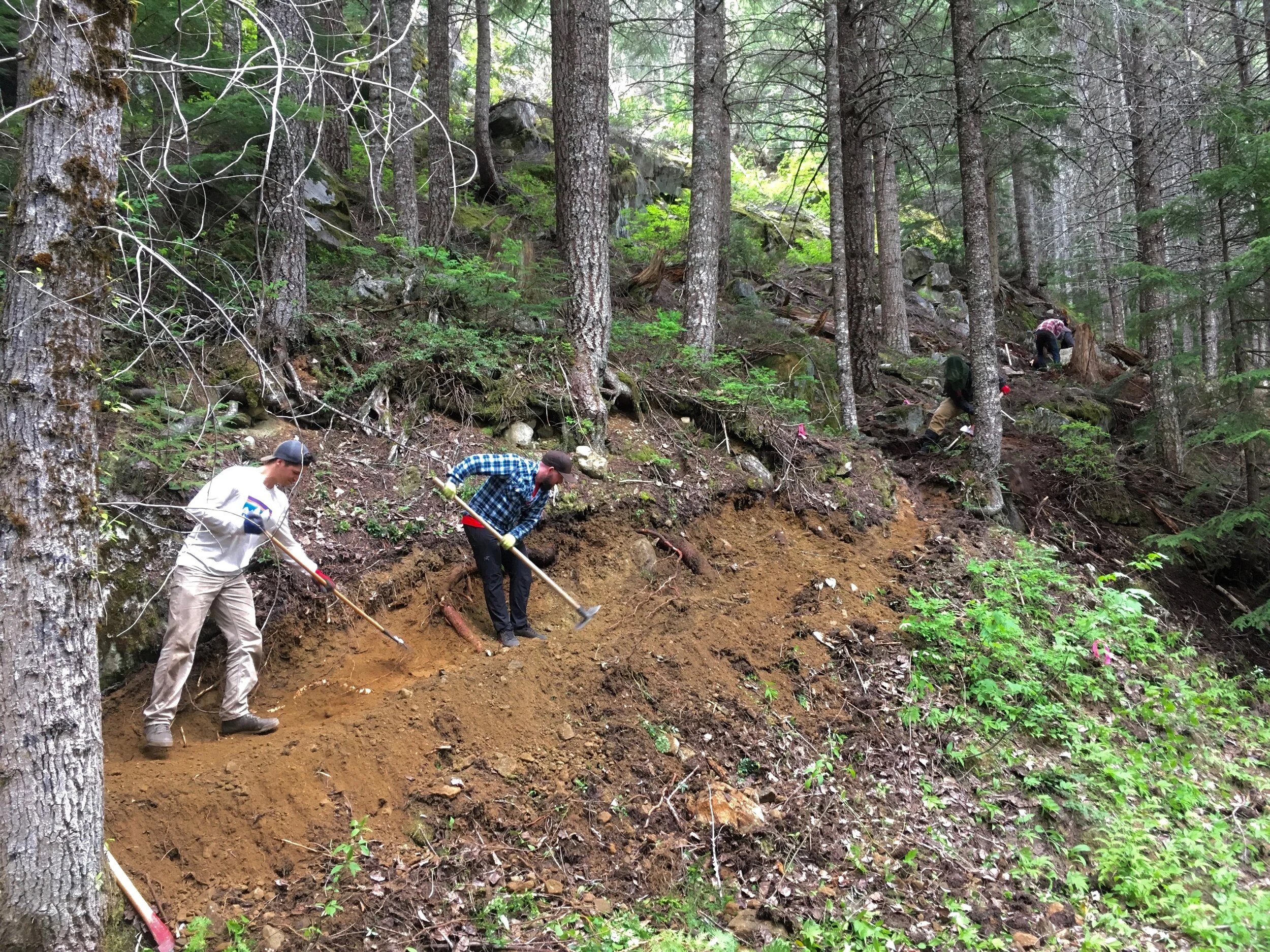 Trails Update: May 23, 2019