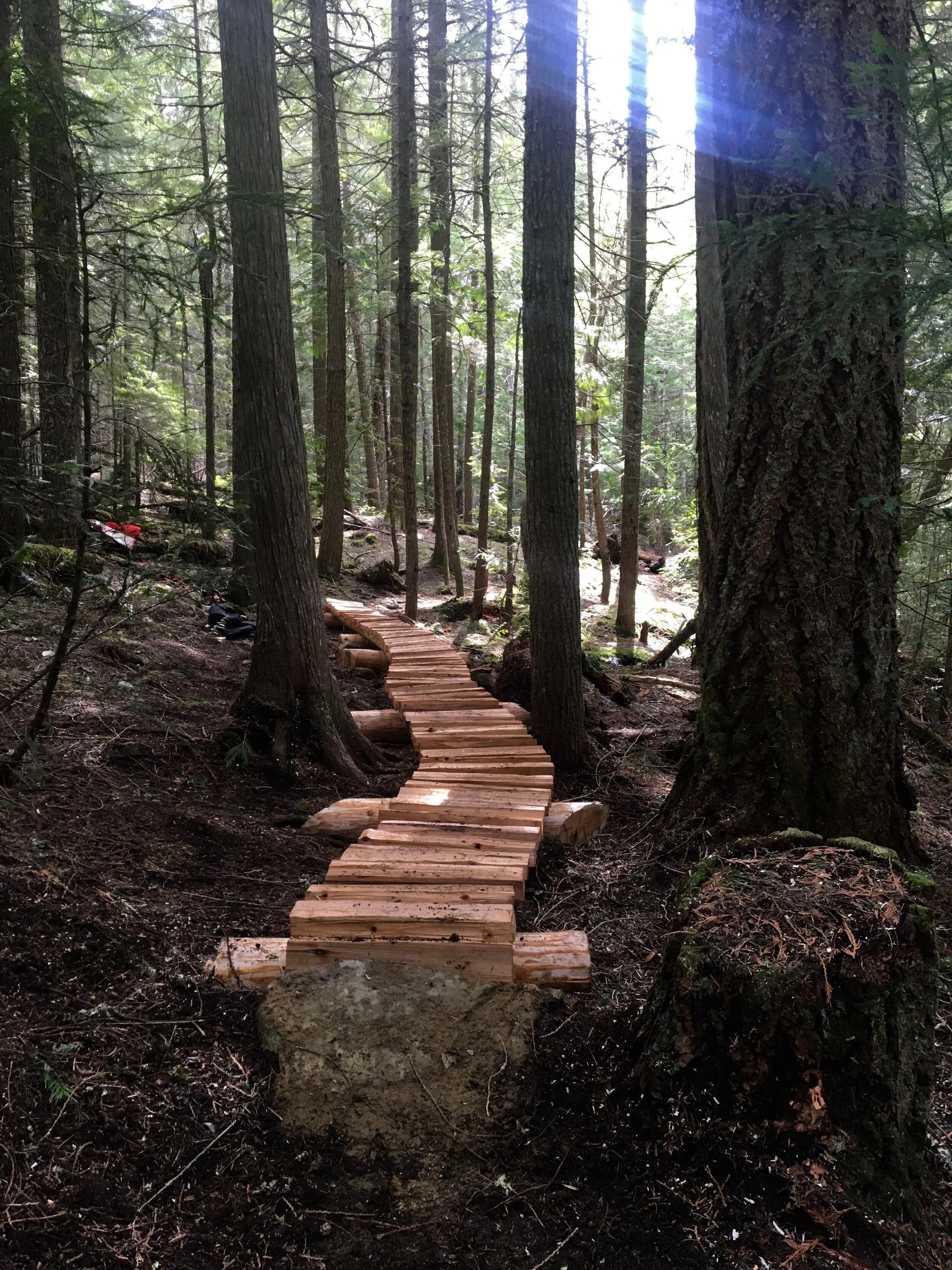 Trails Update: Apr 24, 2020