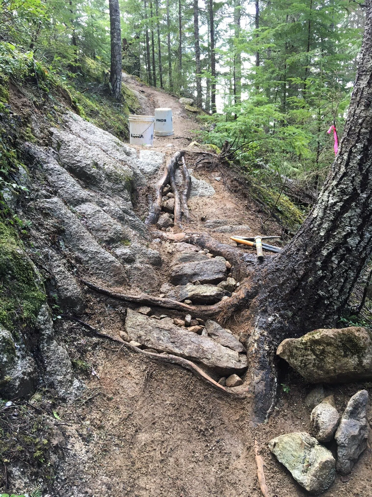 Trails Update: May 01, 2020