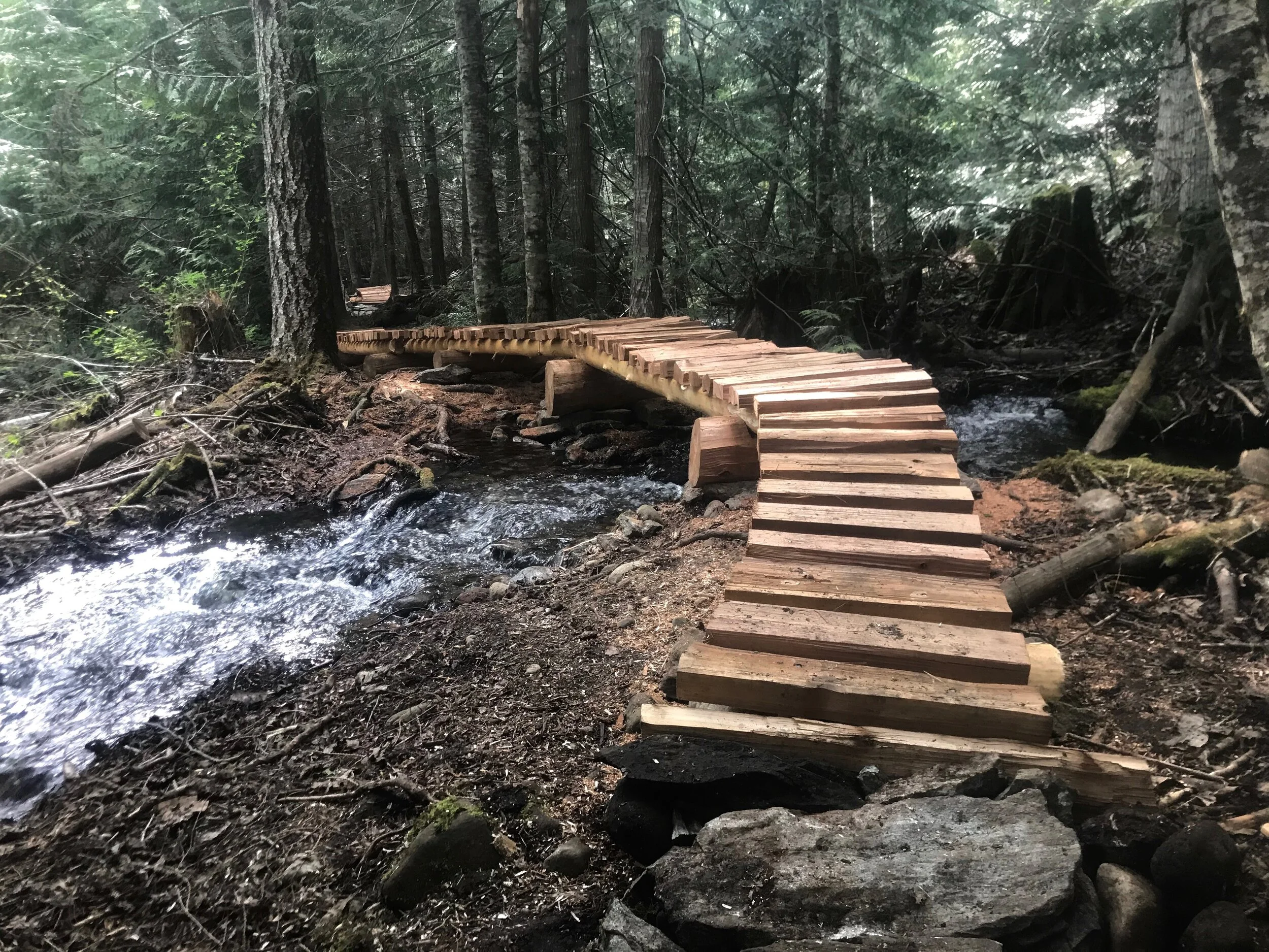 Trails Update: May 15