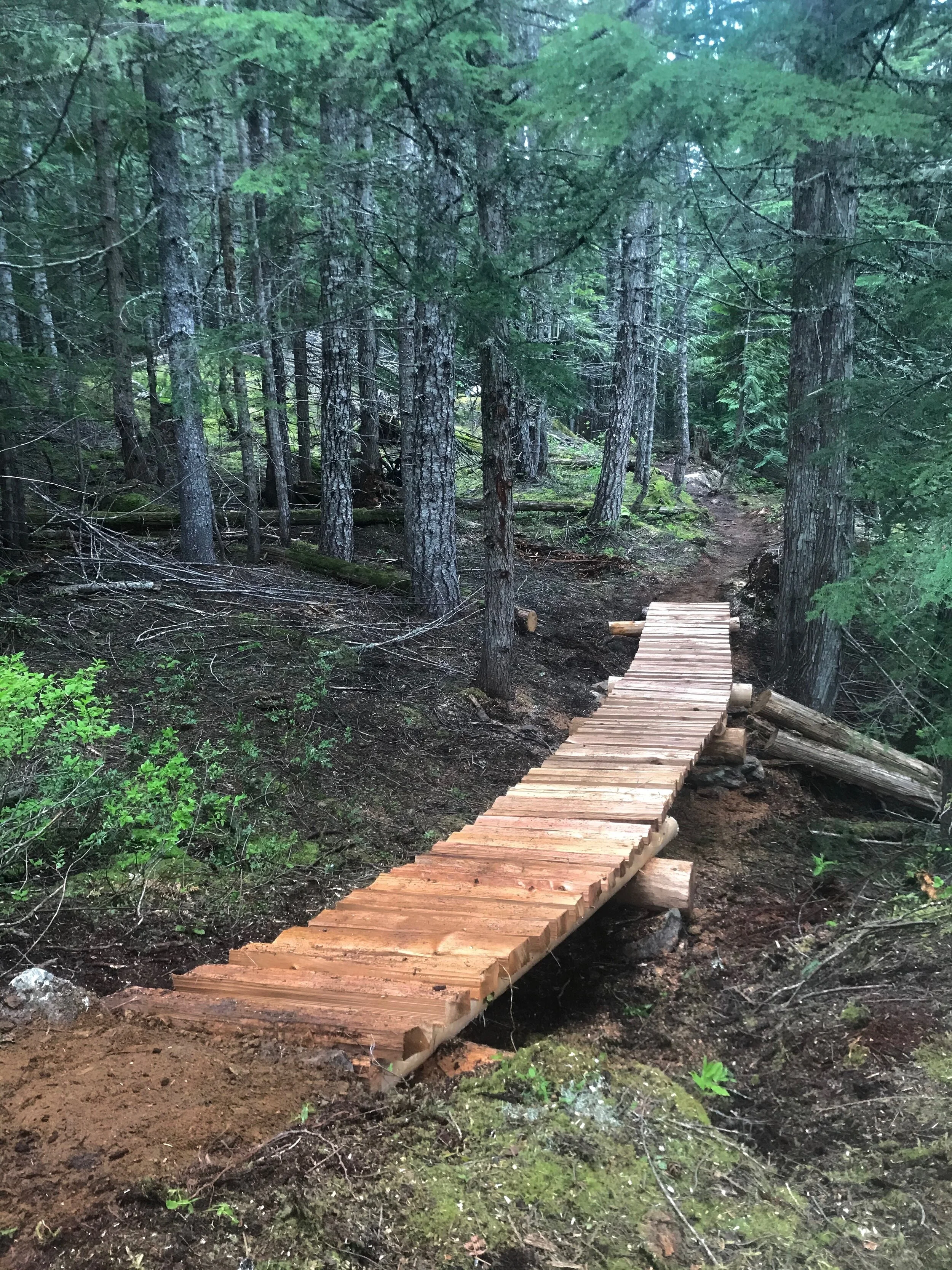 Trails Update: May 22, 2020