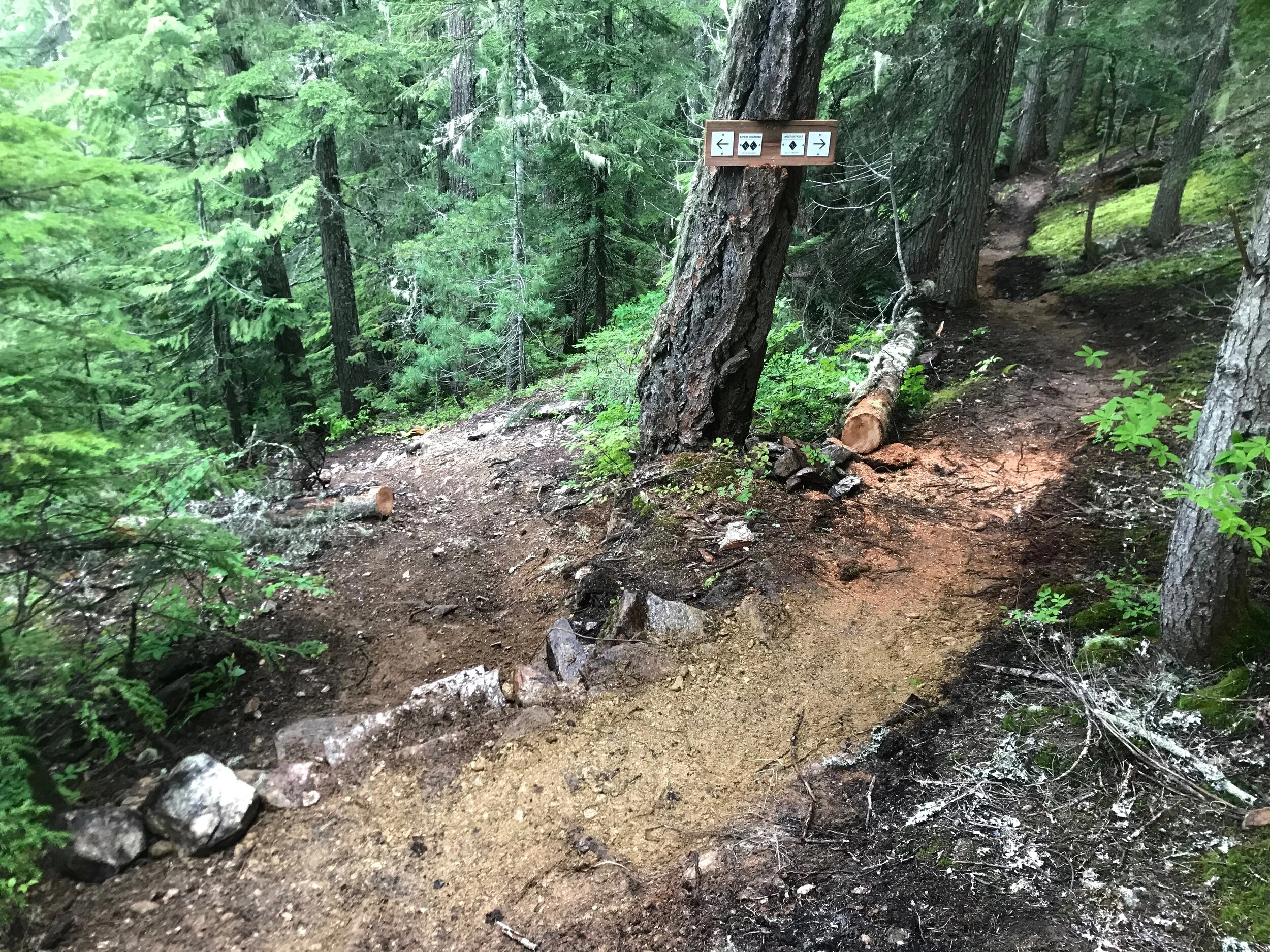 Trails Update: June 12, 2020