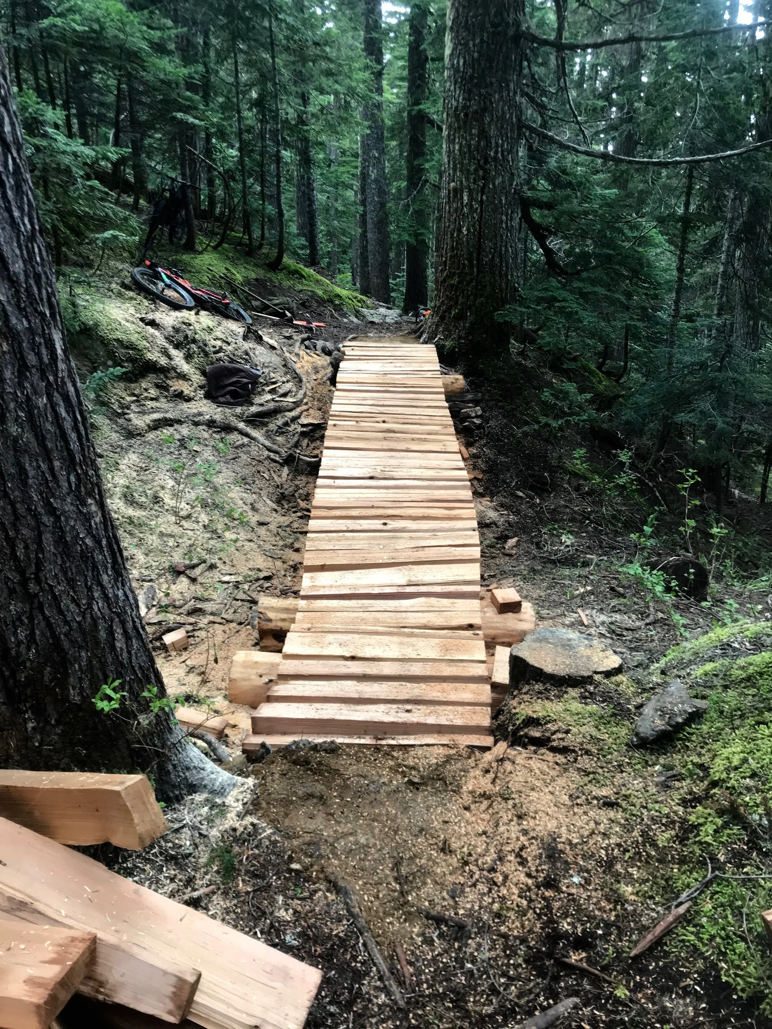 Trails Update: June 19, 2020