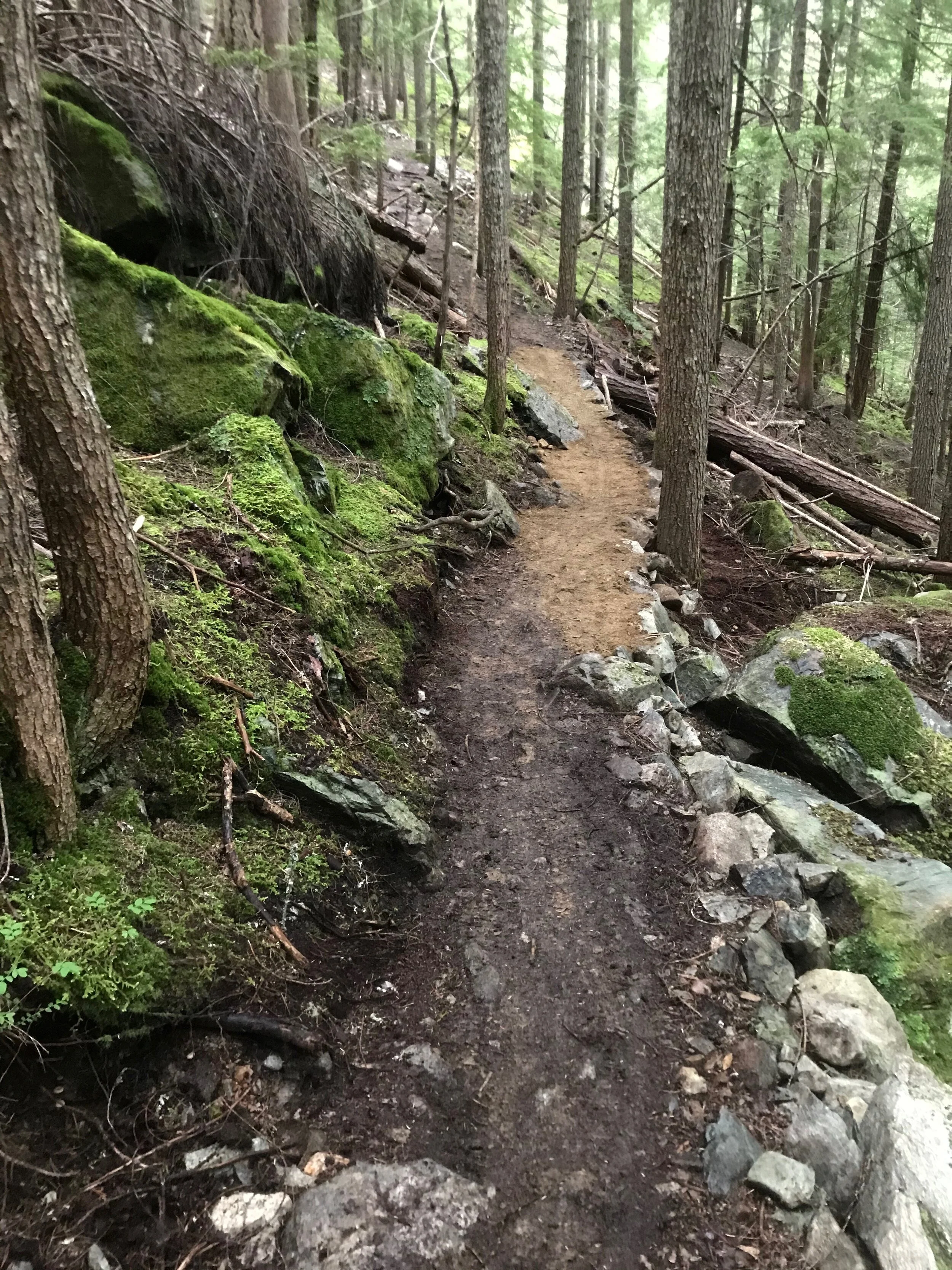 Trails Update: June 26, 2020