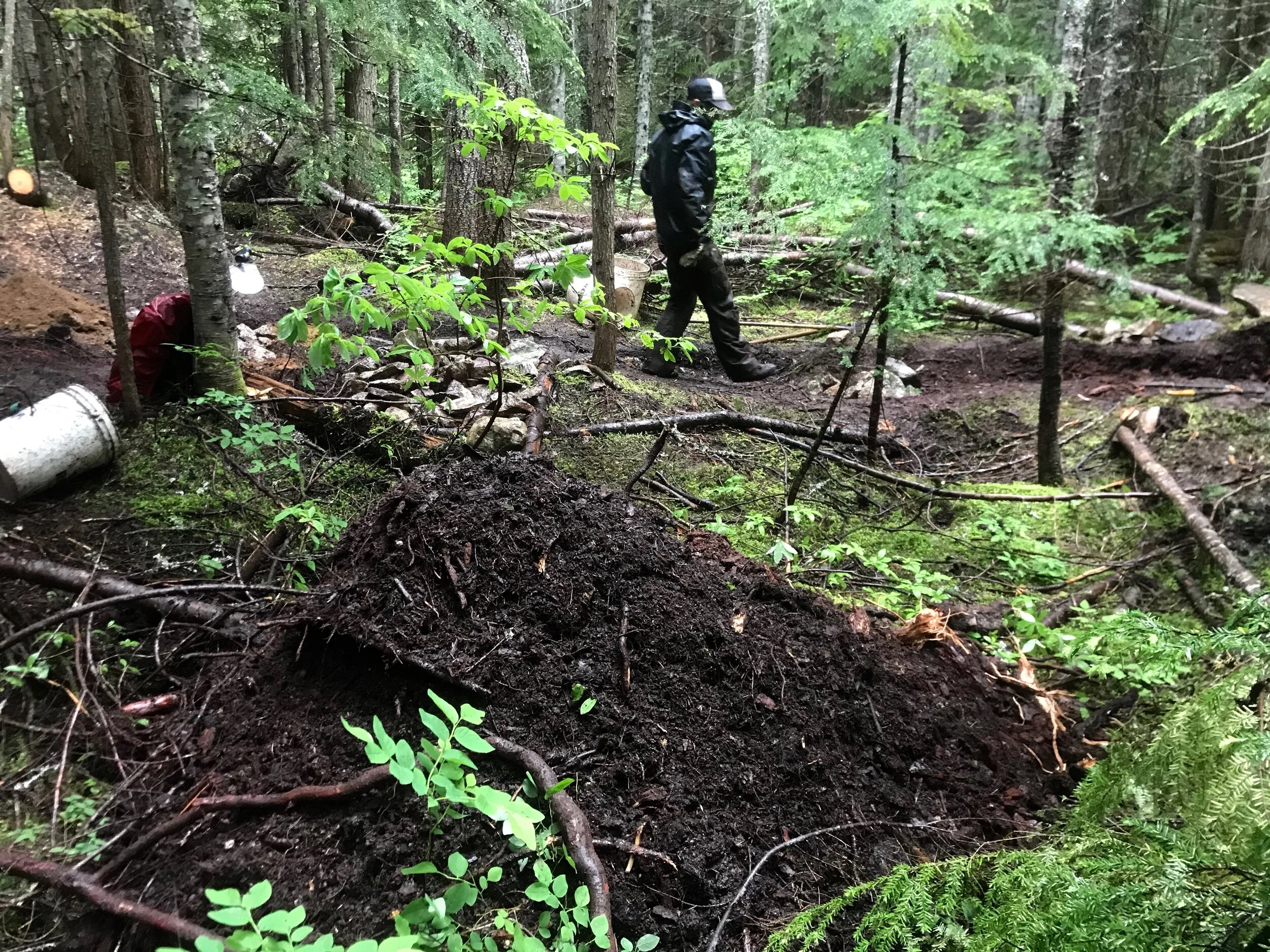 Trails Update: July 03, 2020