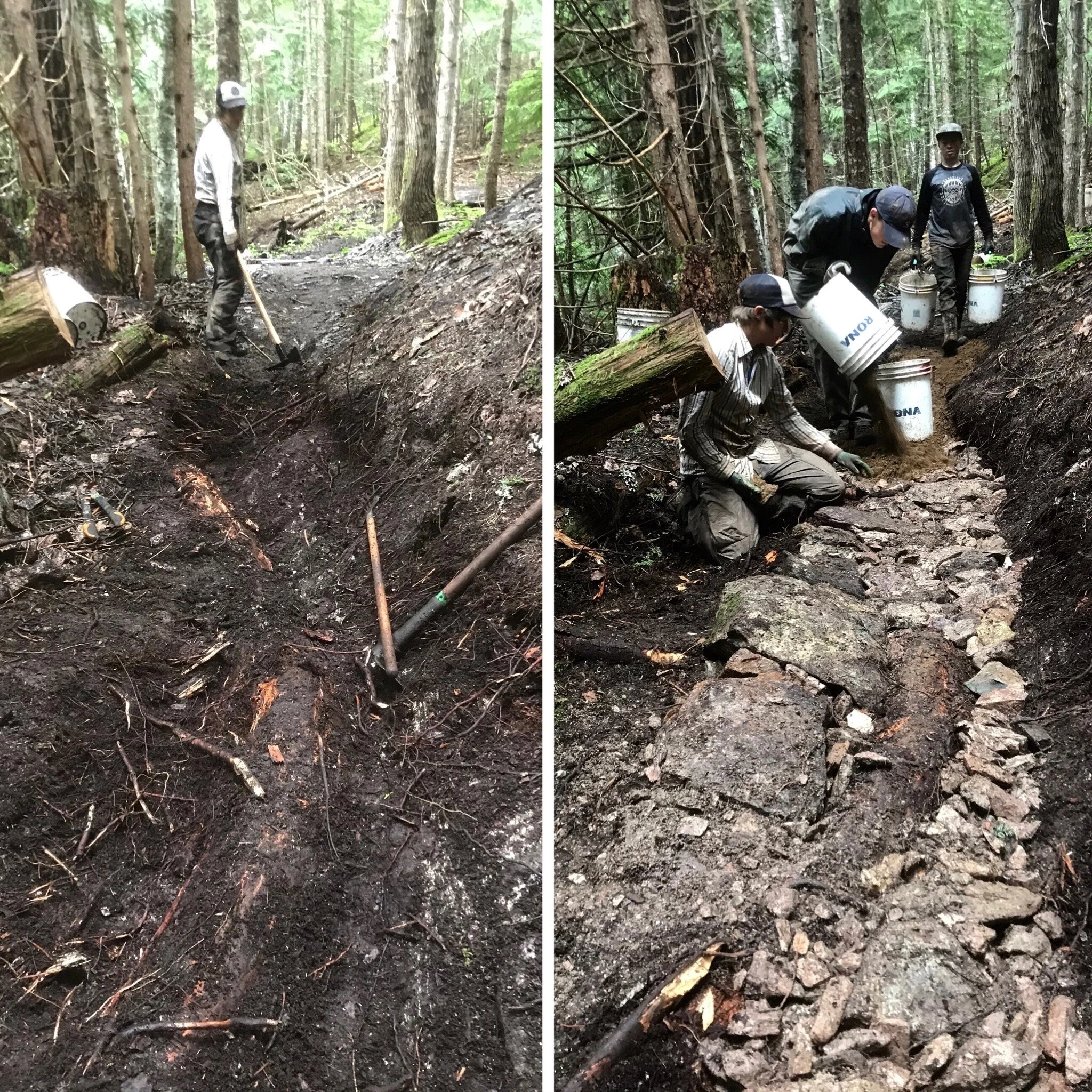 Trails Update: July 10, 2020