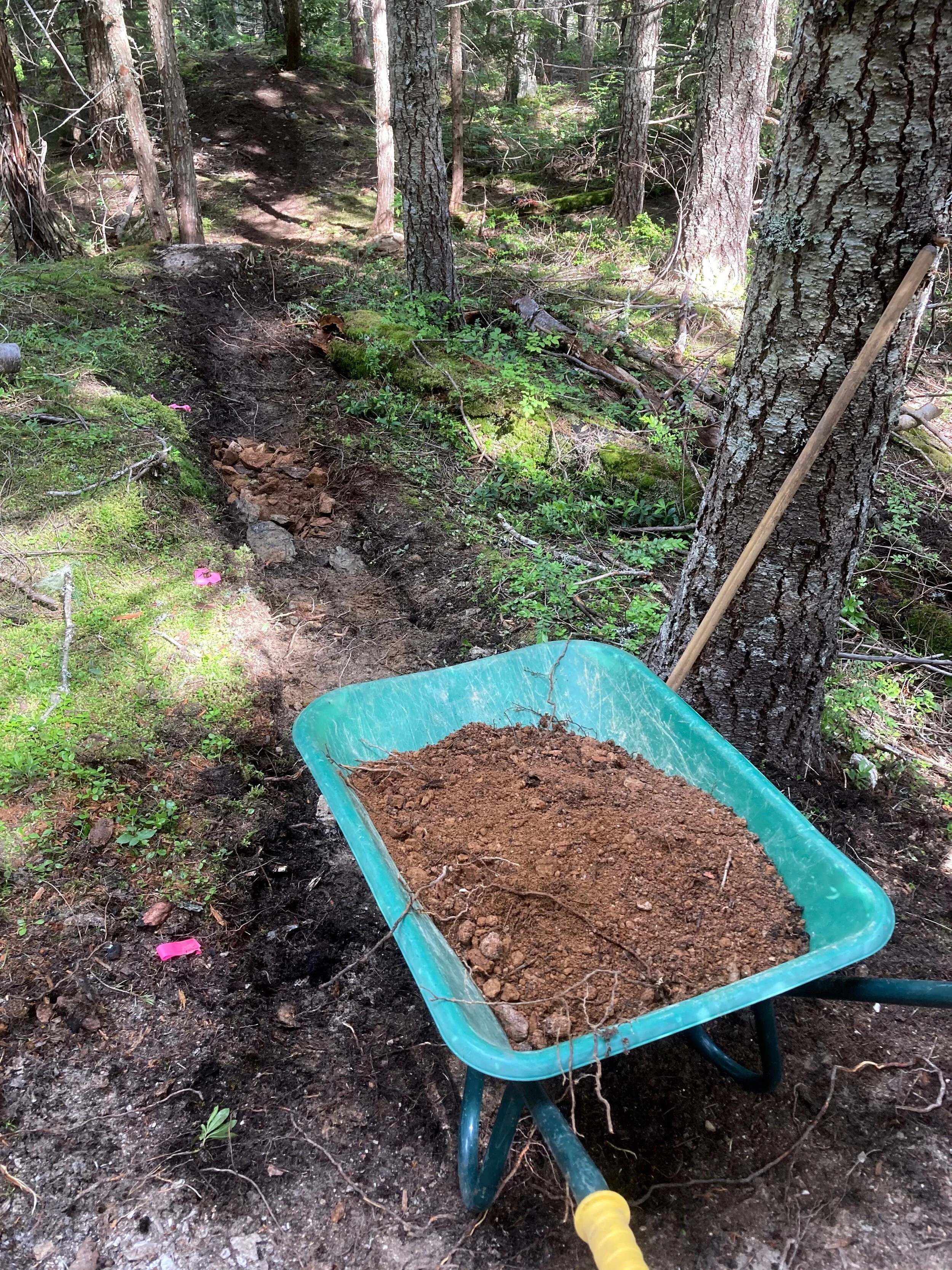 Trails Update: July 17, 2020