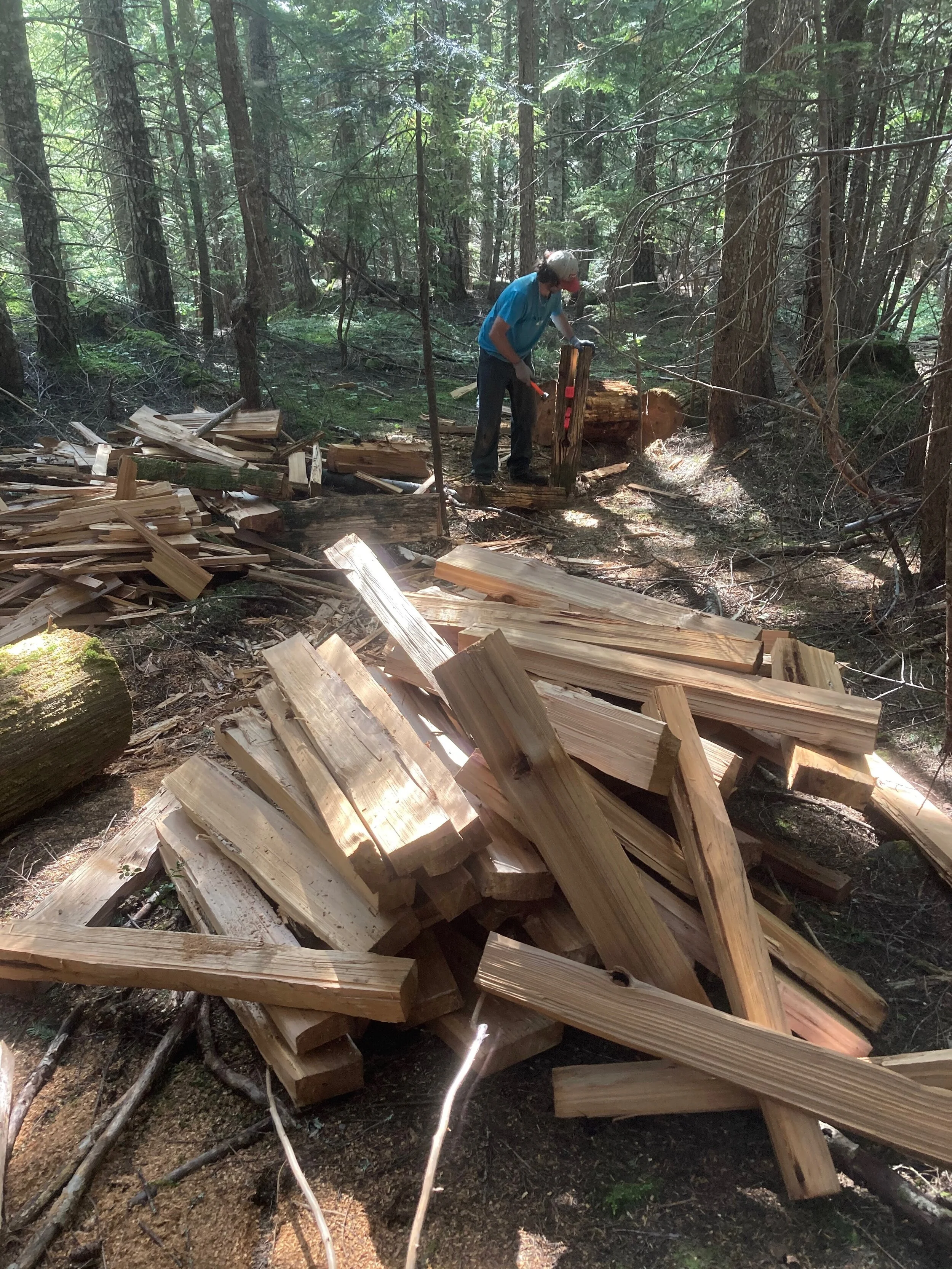 Trails Update: July 24, 2020