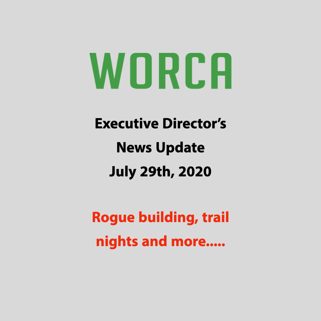 Executive Director's update - July 29th 2020