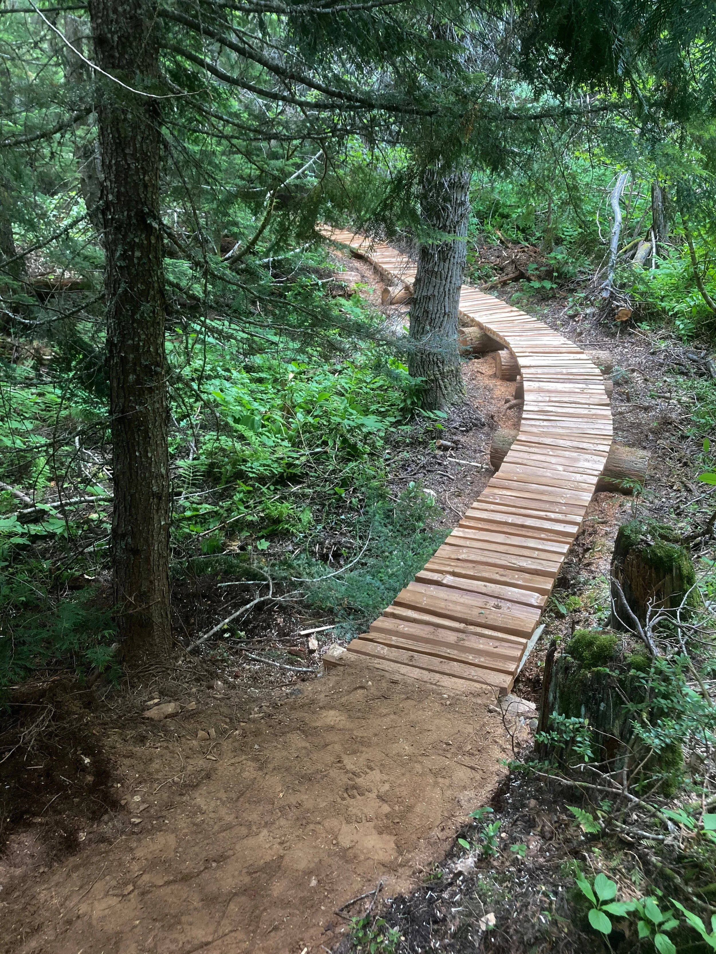 Trails Update: July 30, 2020