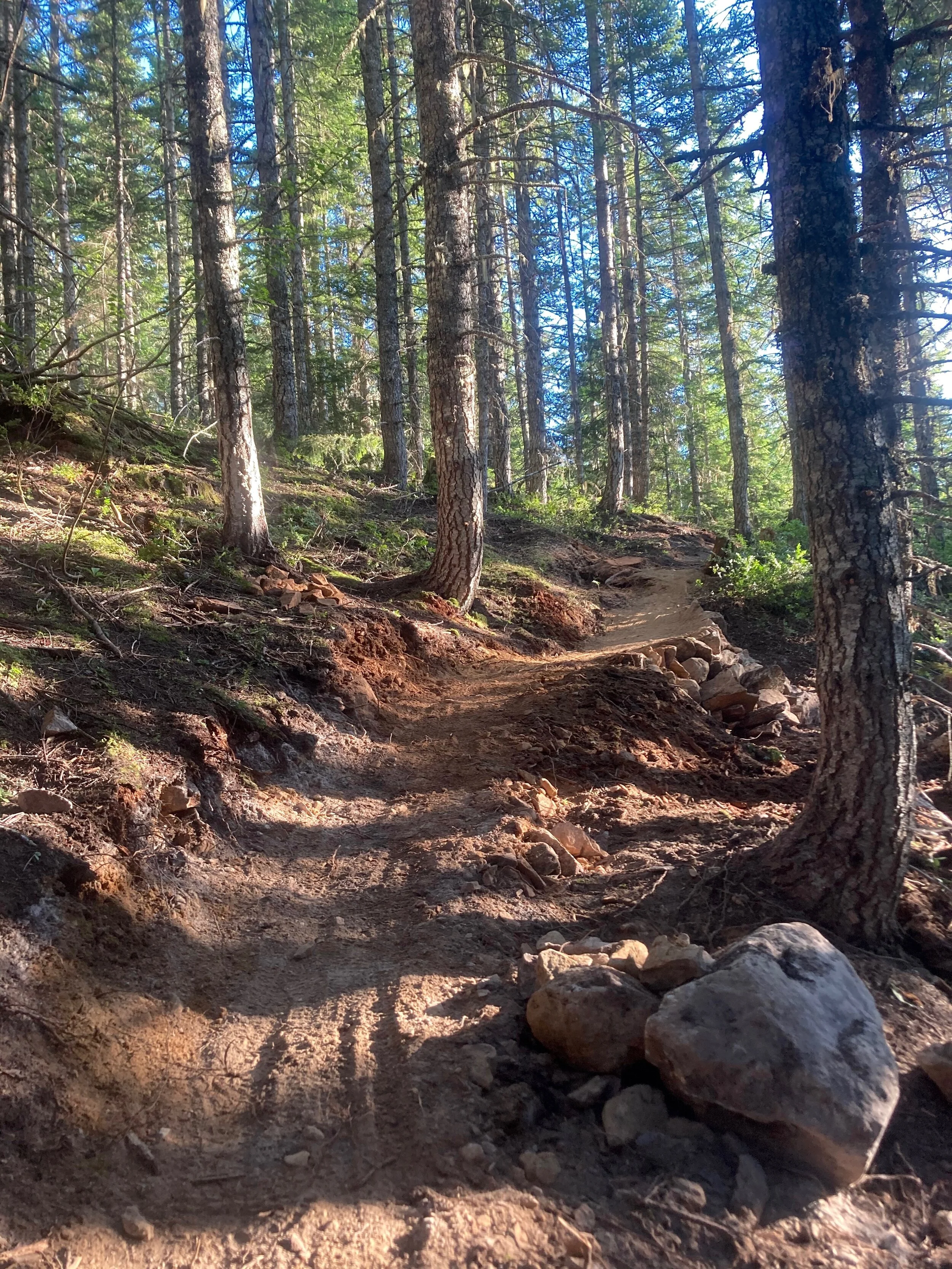 Trails Update: Aug 07, 2020