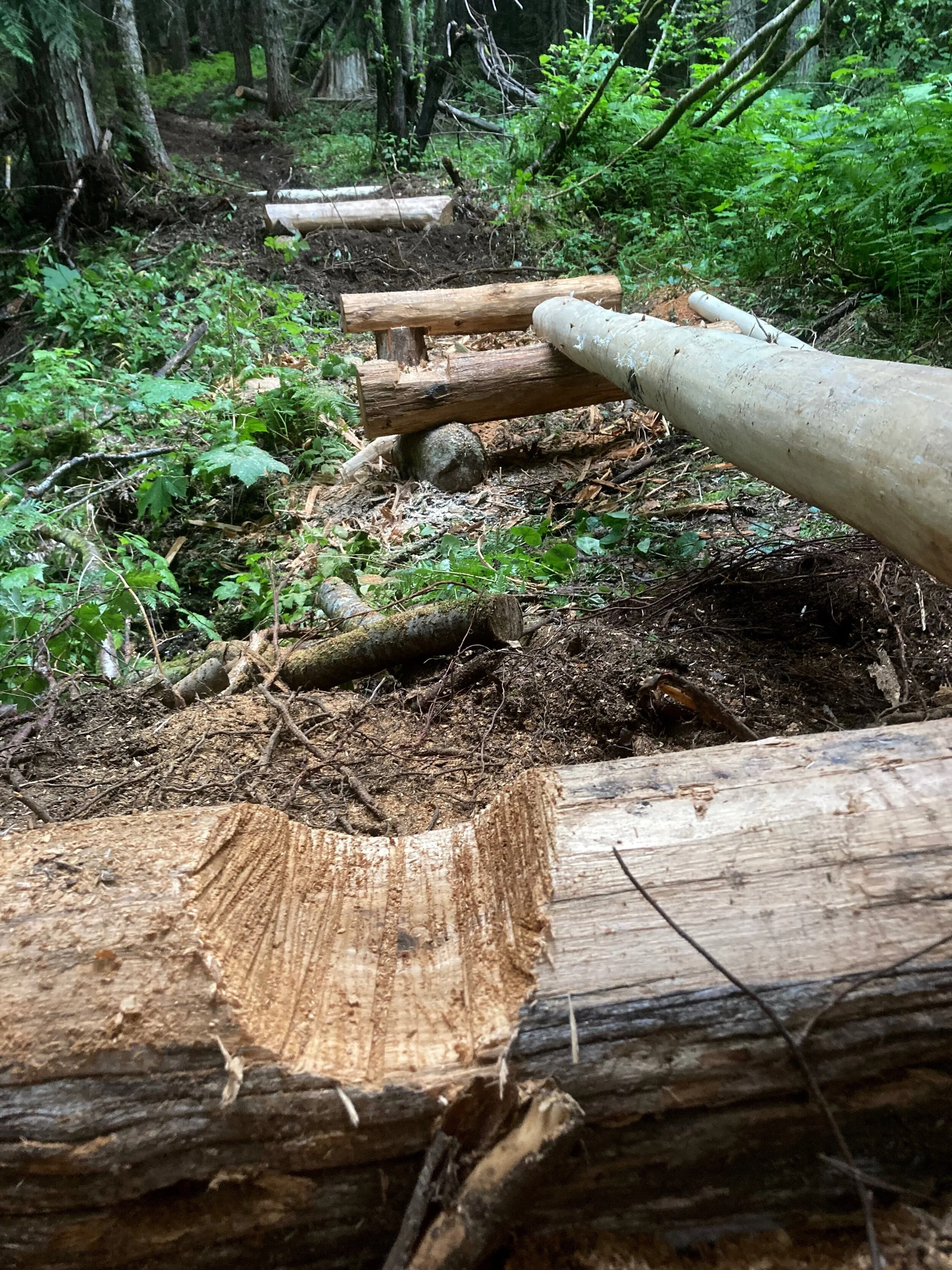 Trails Update: Aug 14, 2020