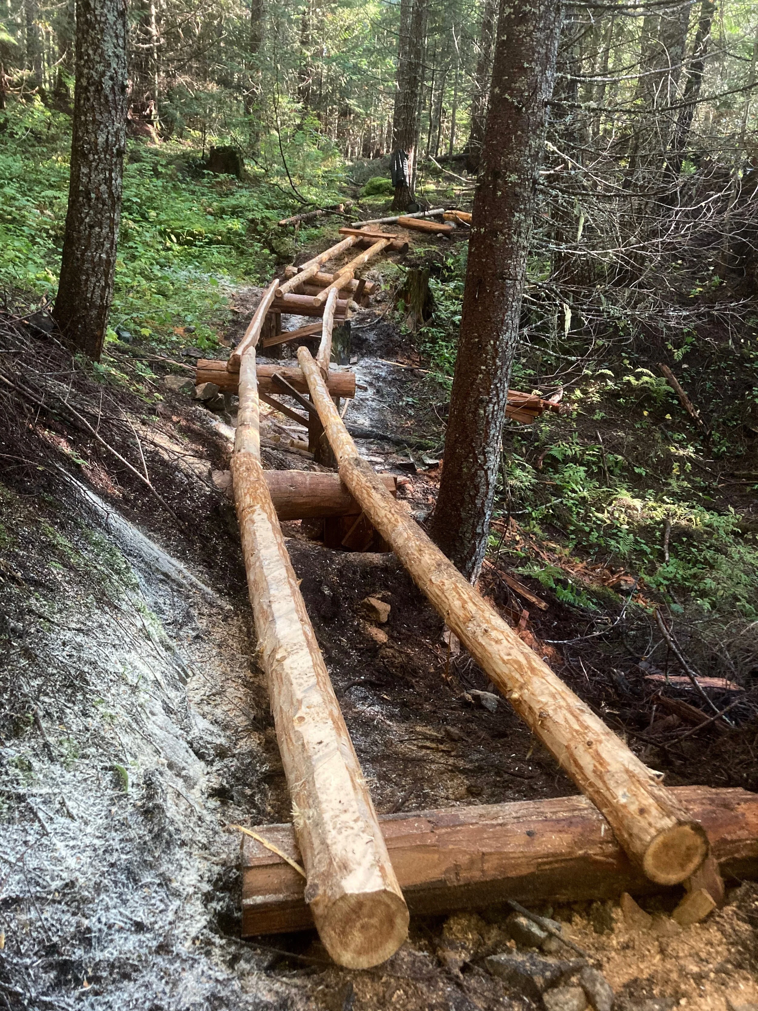 Trails Update: Oct 02, 2020