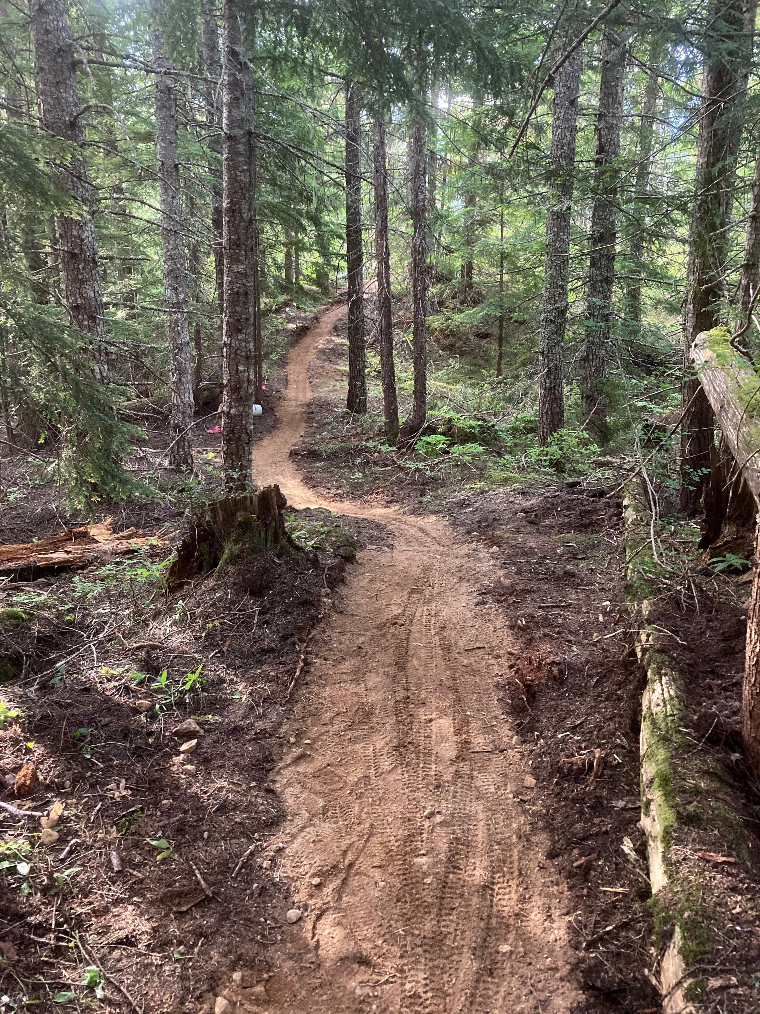 Trails Update: Nov 06, 2020