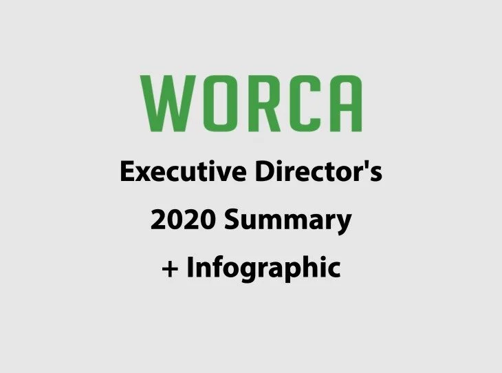 Executive Director's 2020 Summary and Infographic