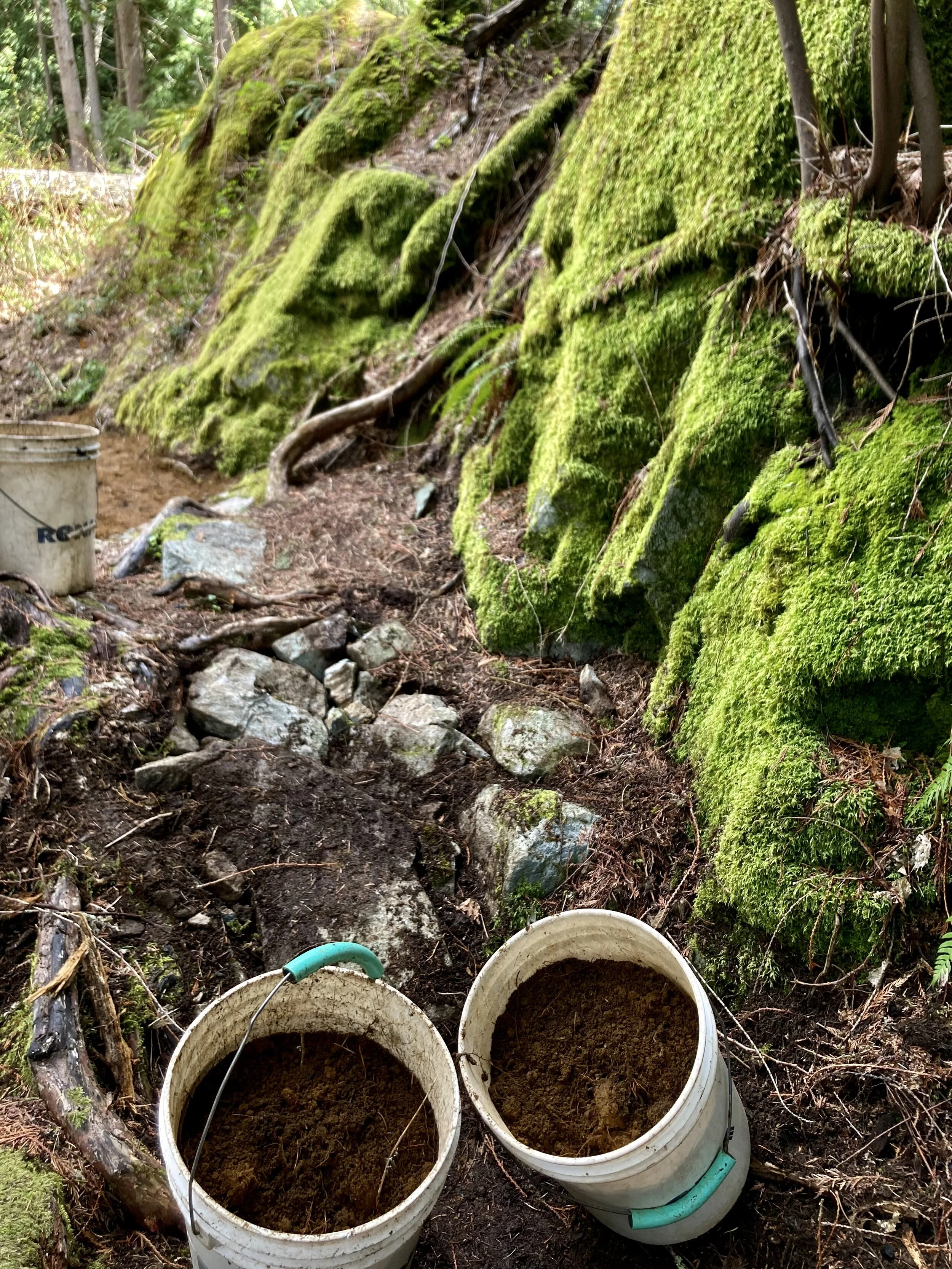 Trails Update: Apr 30, 2021