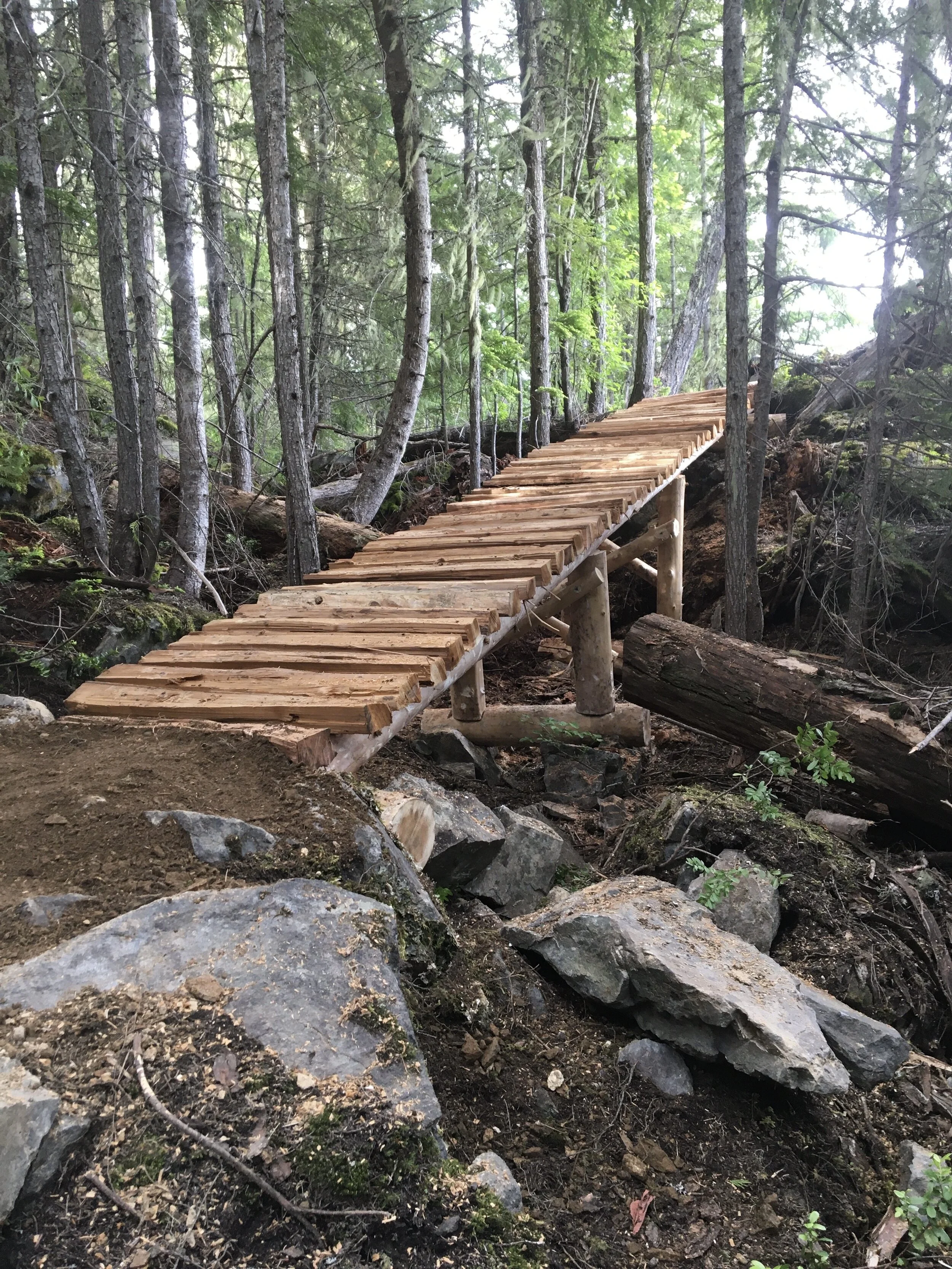 Trails Update: June 18, 2021