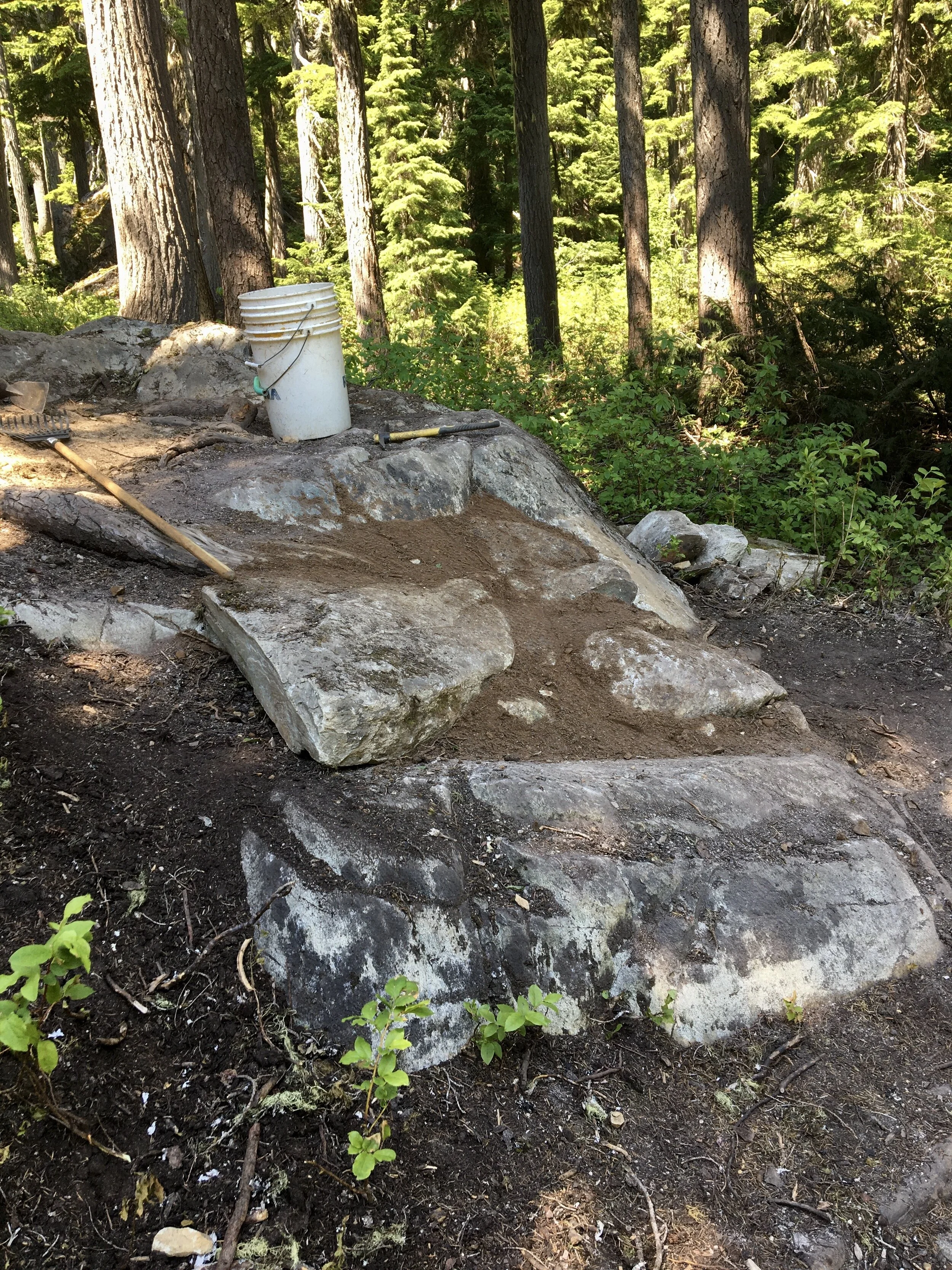 Trails Update: July 2, 2021