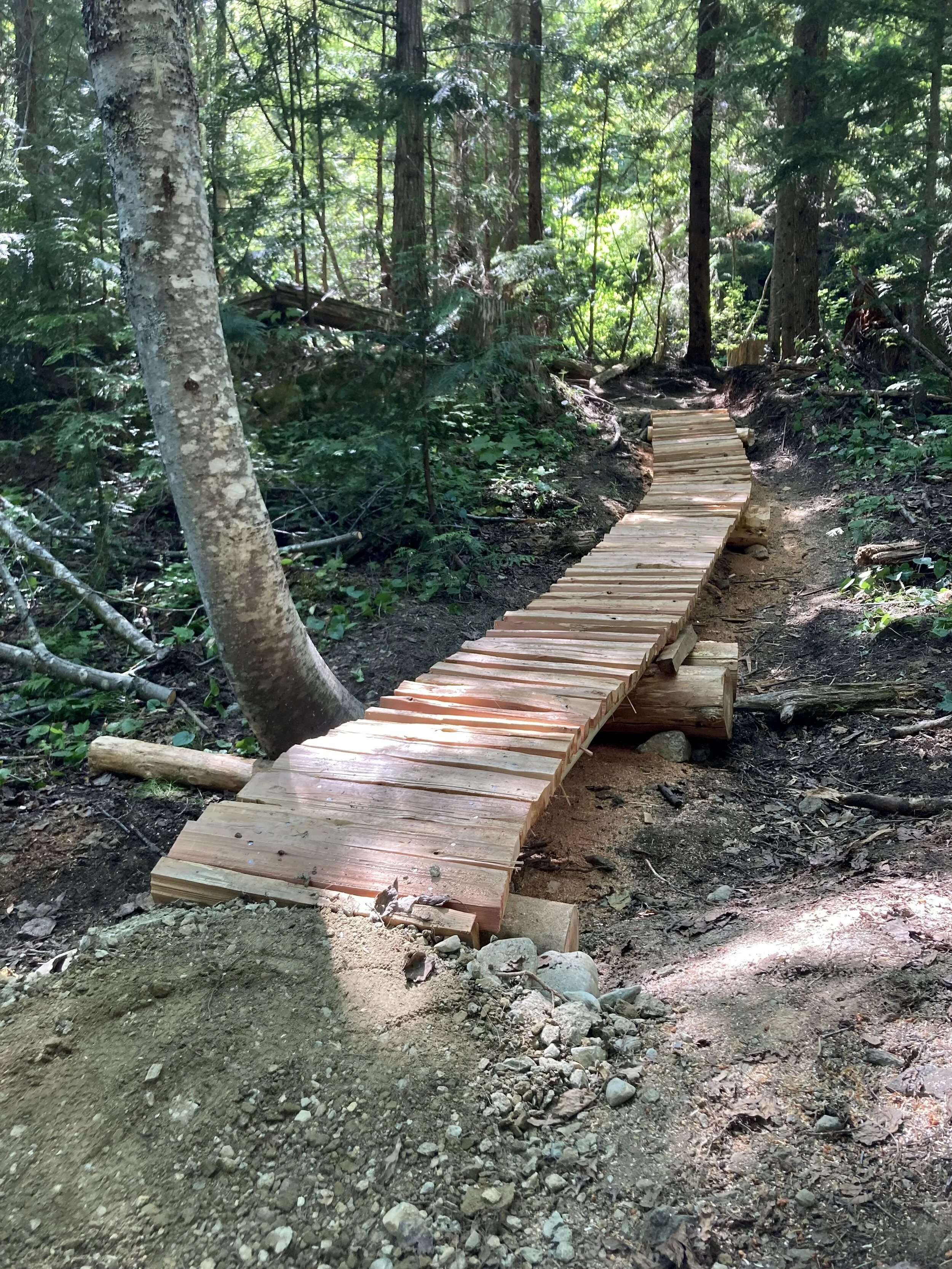 Trails Update: July 9, 2021