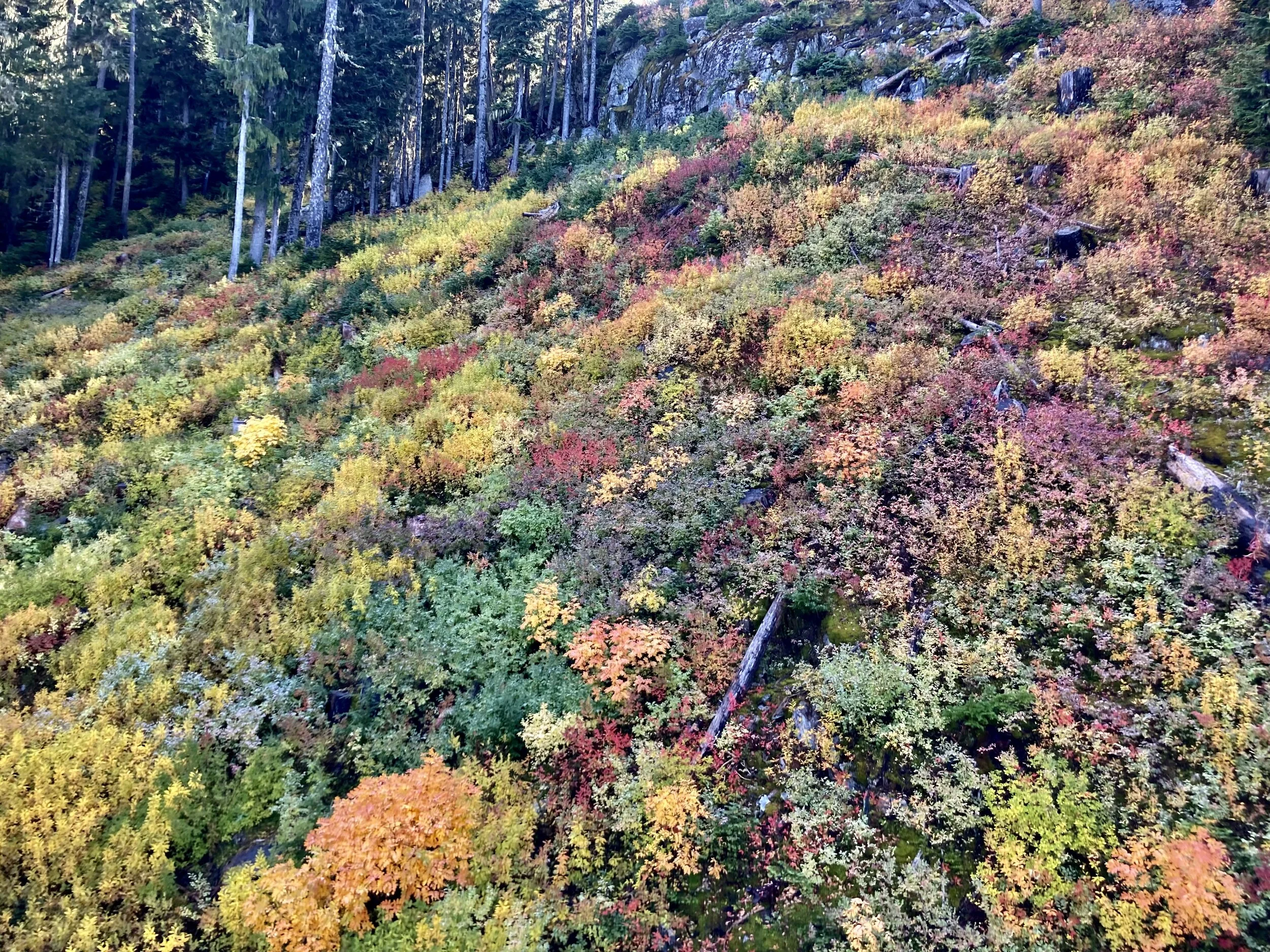 Trails Update: Oct 8, 2021