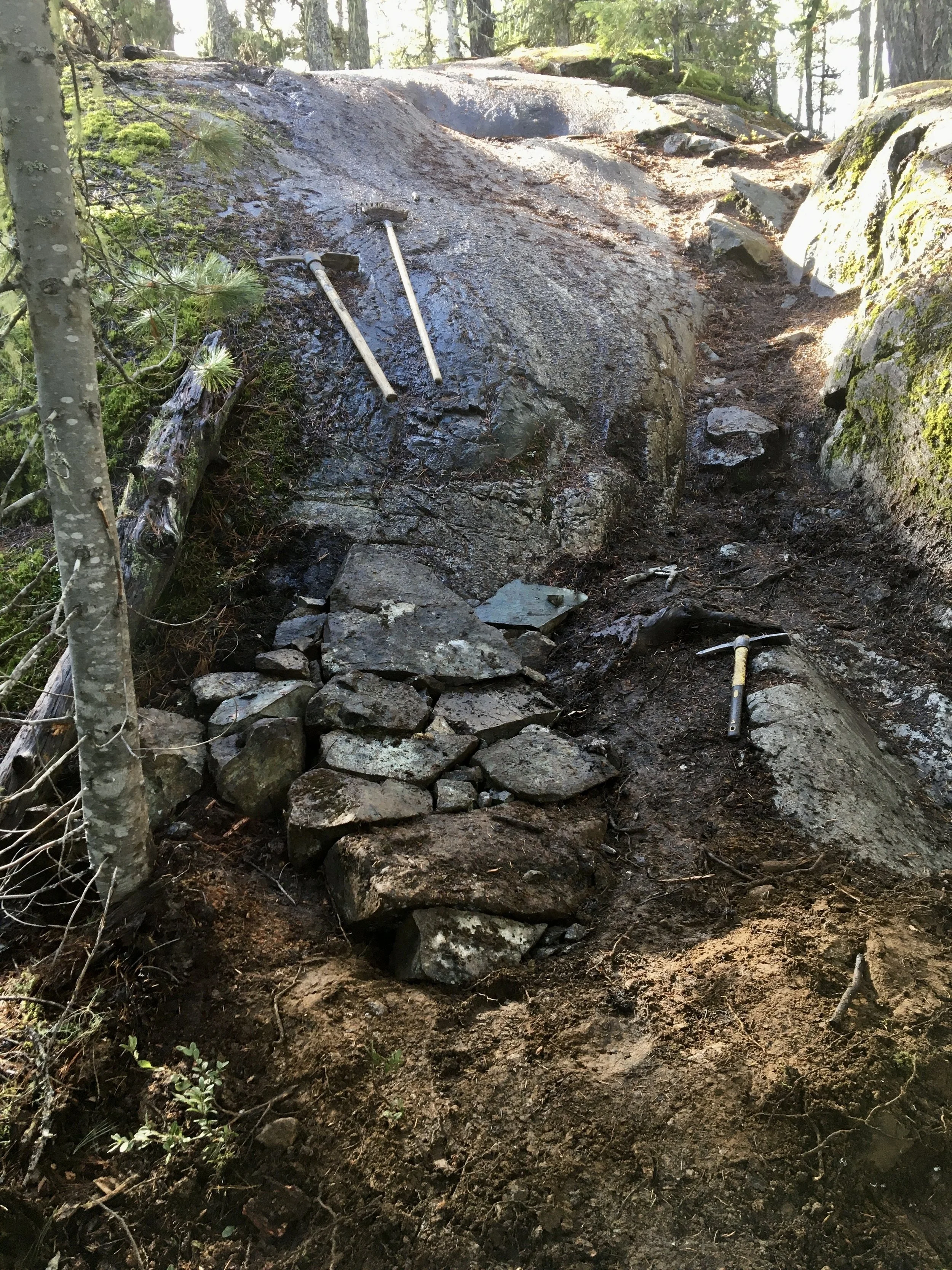 Trails Update: Oct 22, 2021