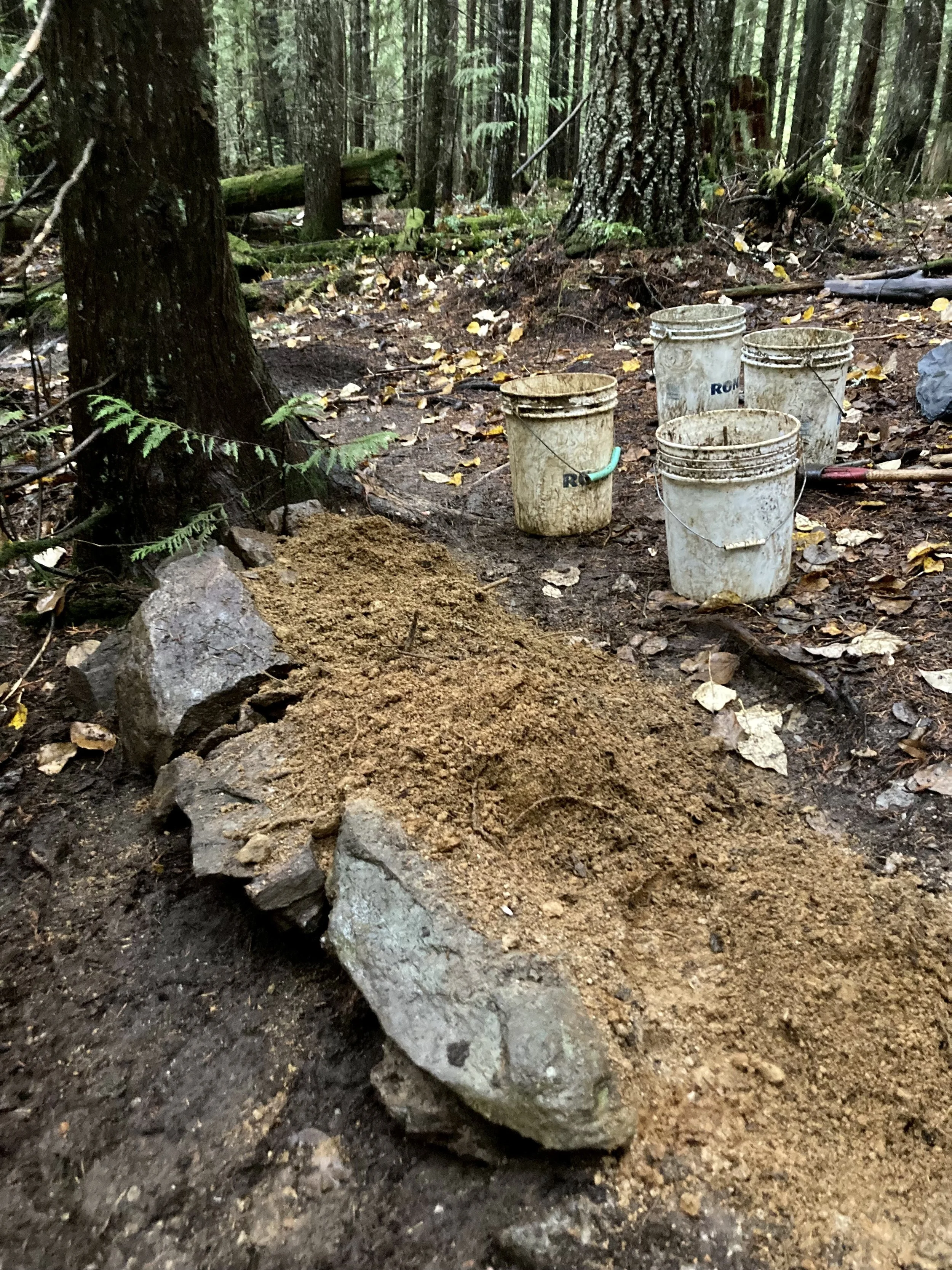 Trails Update: Oct 29, 2021