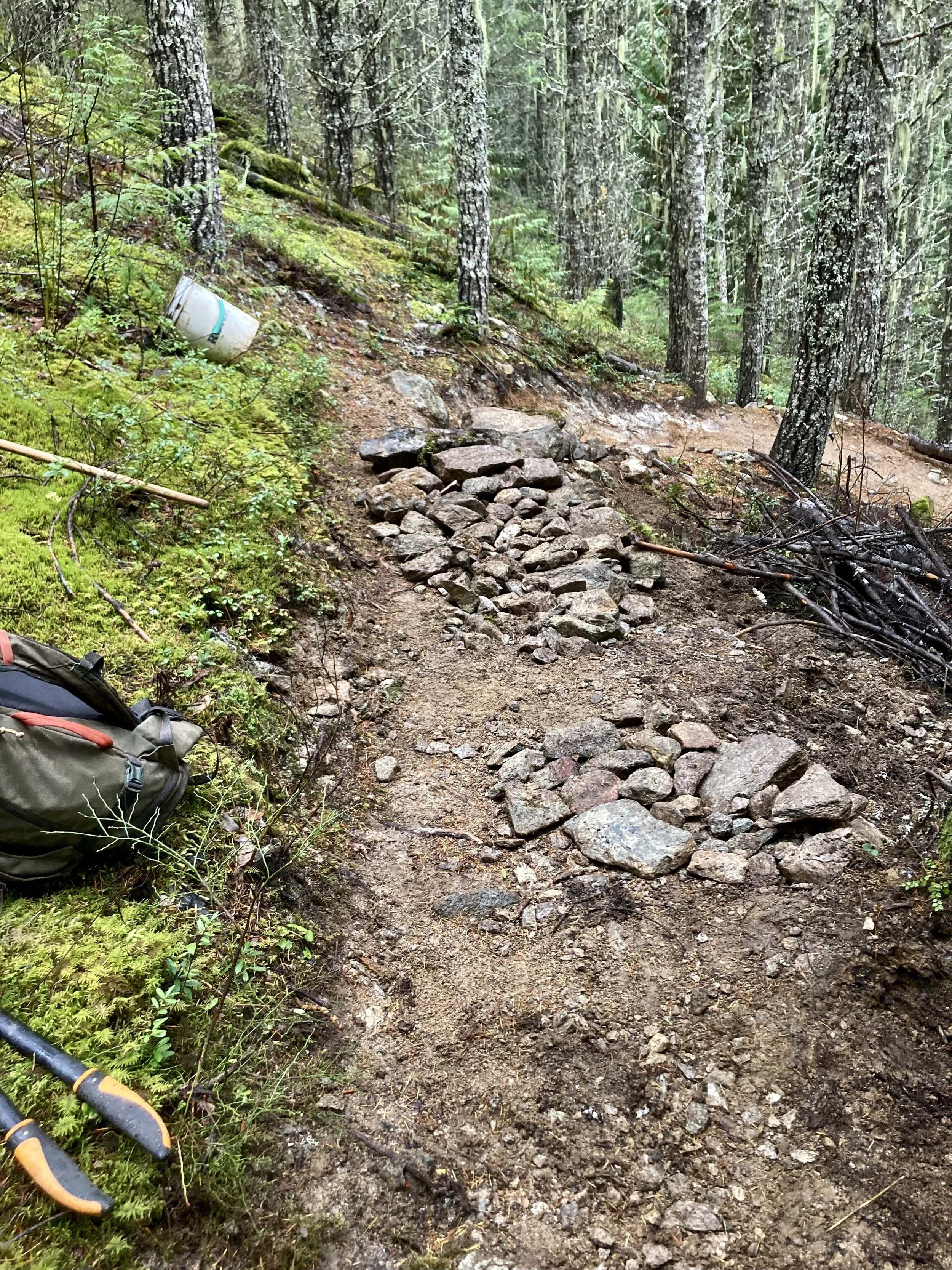 Trails Update: Nov 5, 2021