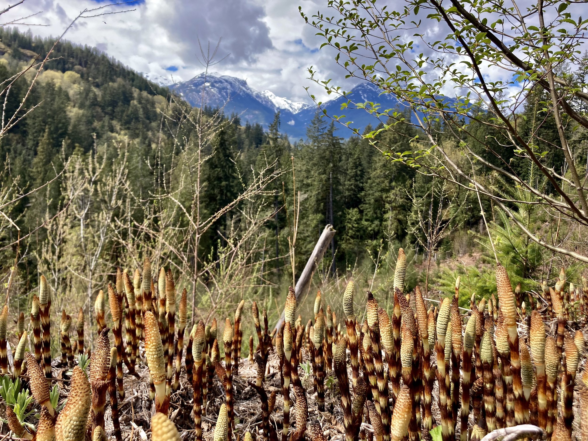 Trails Update: Apr 29, 2022