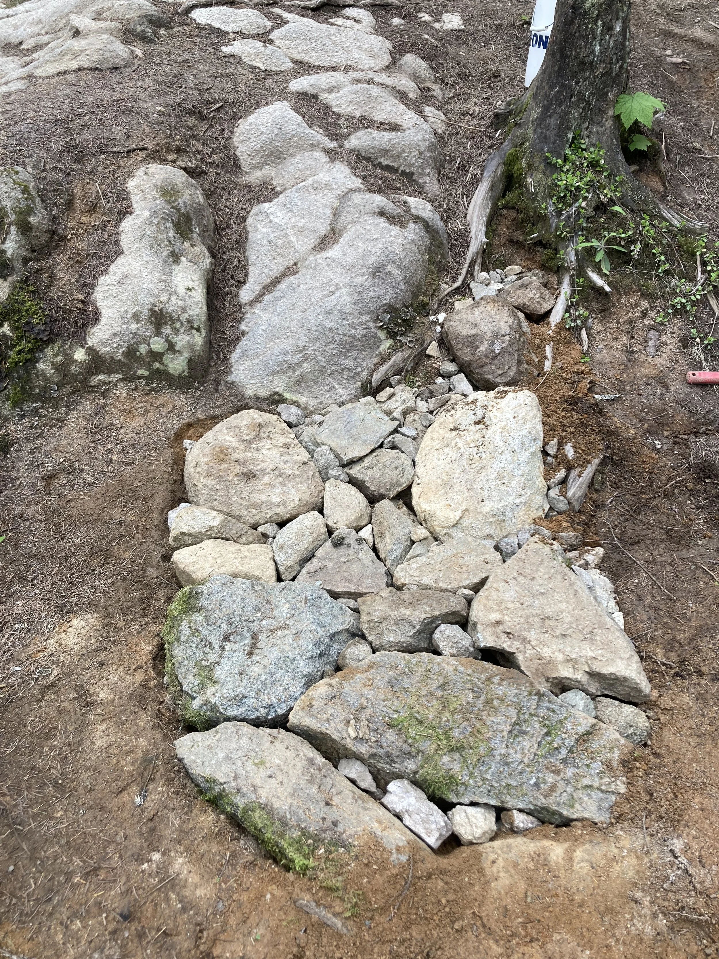 Trails Update: June 16, 2022