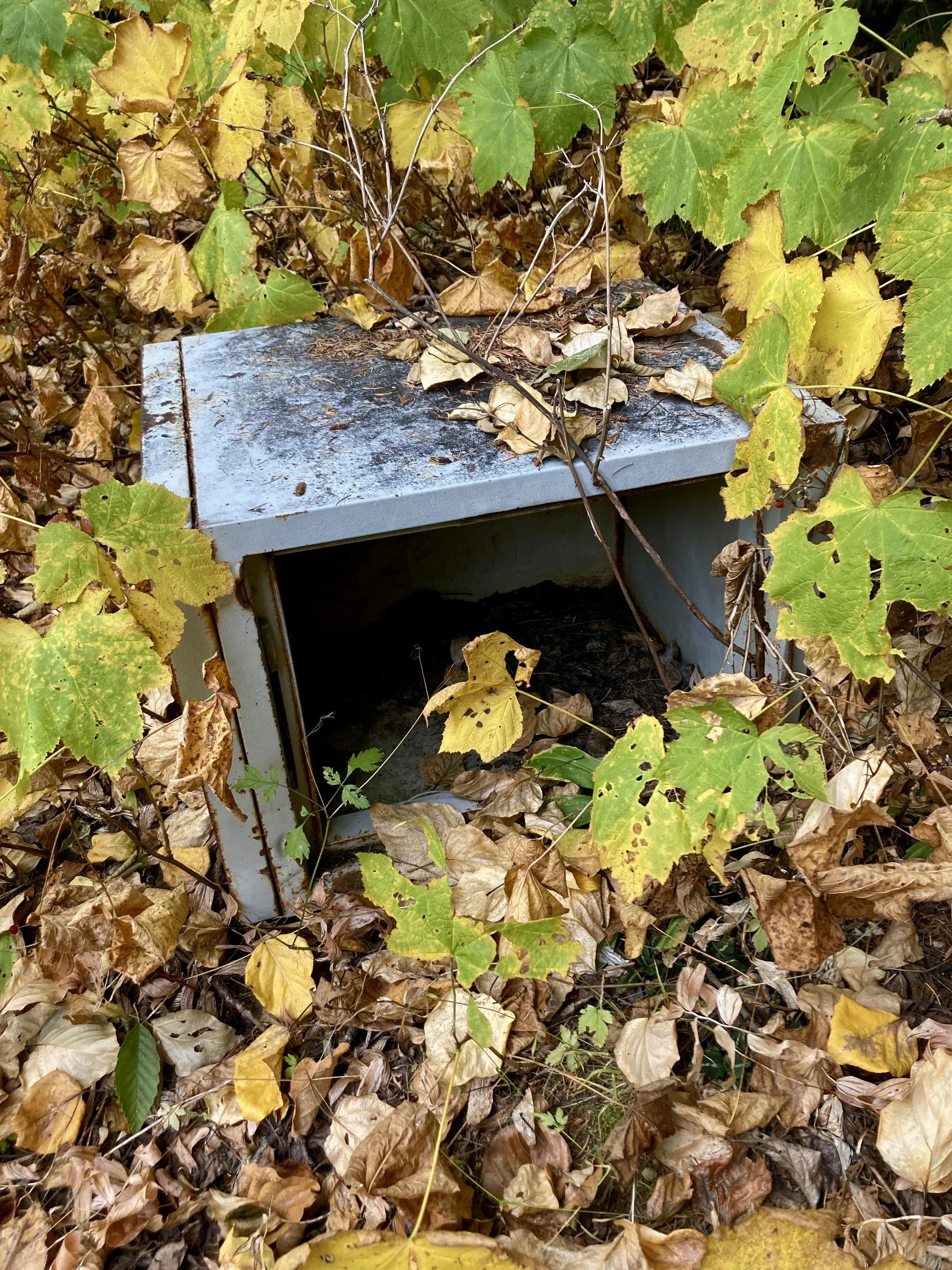 Trails Update: October 21, 2022