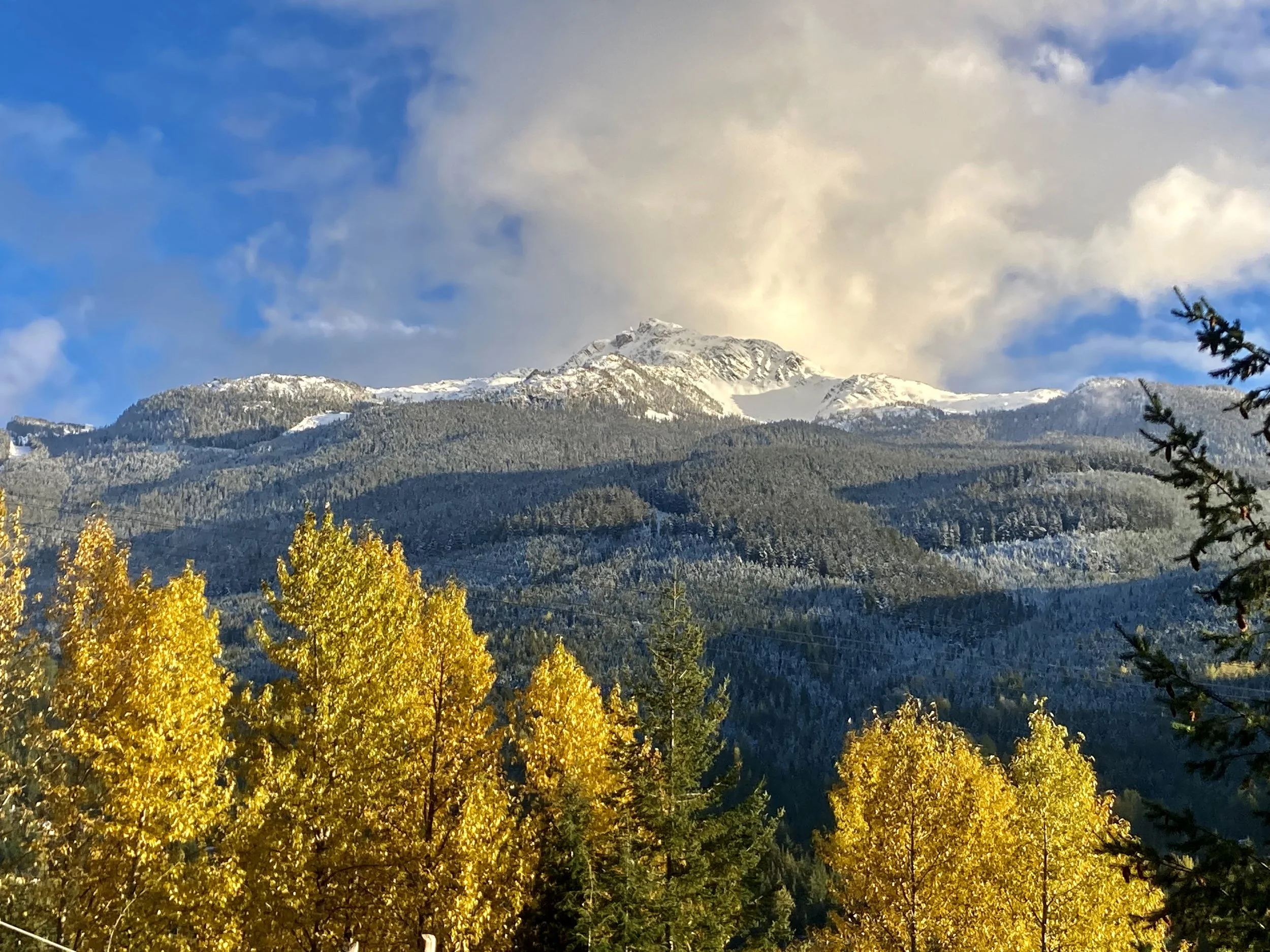 Trails Update: November 4, 2022