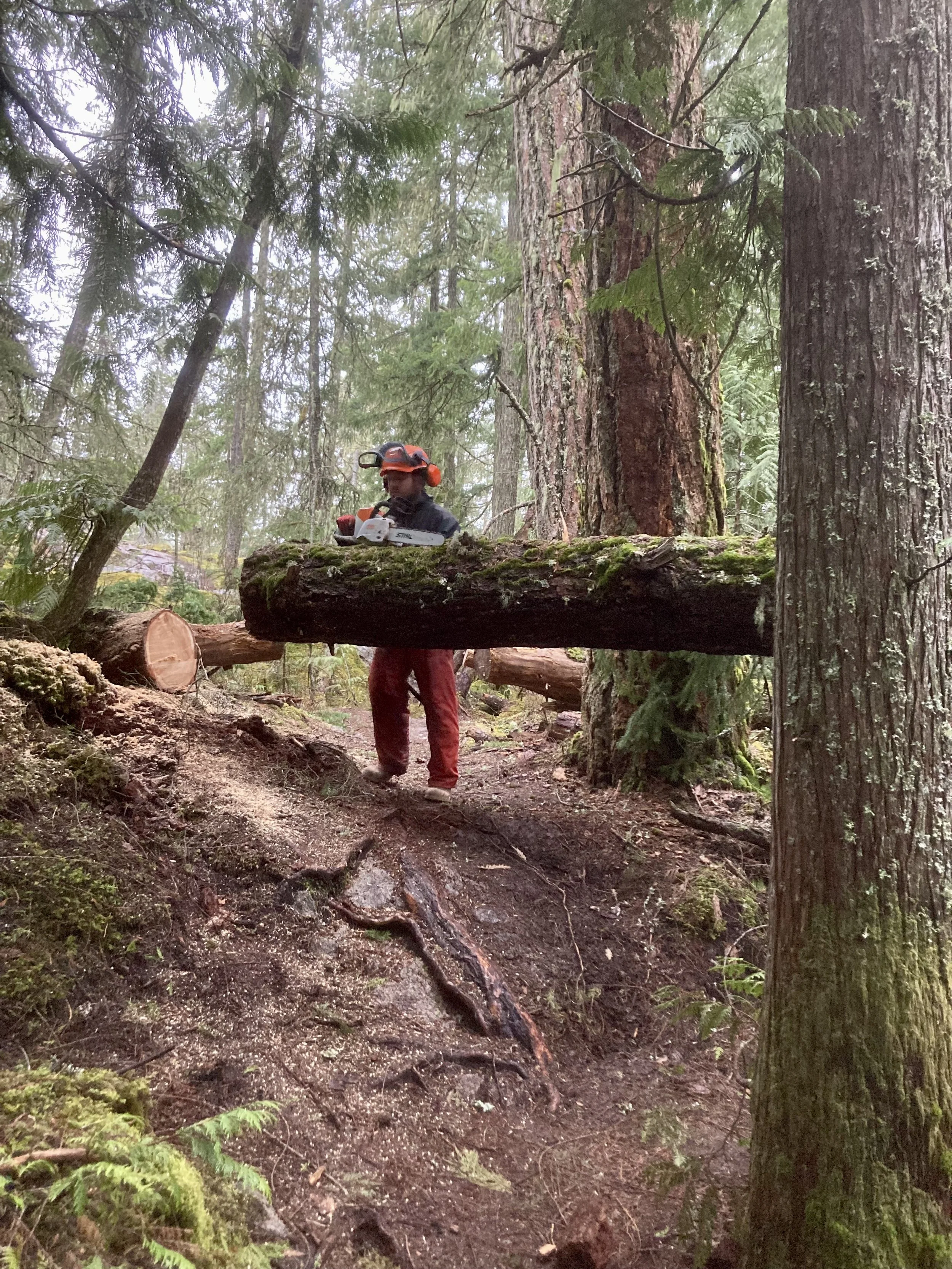 Trails Update: April 28th... First one of the 2023 season!
