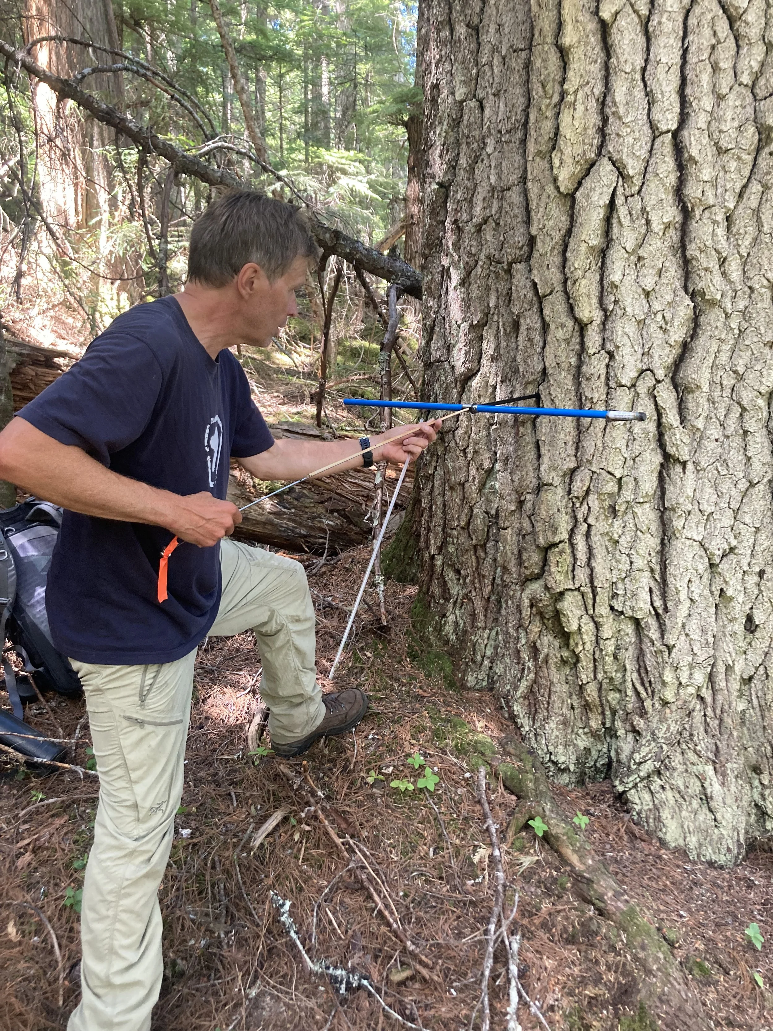 Trails Update: July 28, 2023 