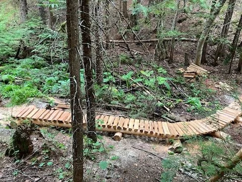 Trails Update: August 25th, 2023