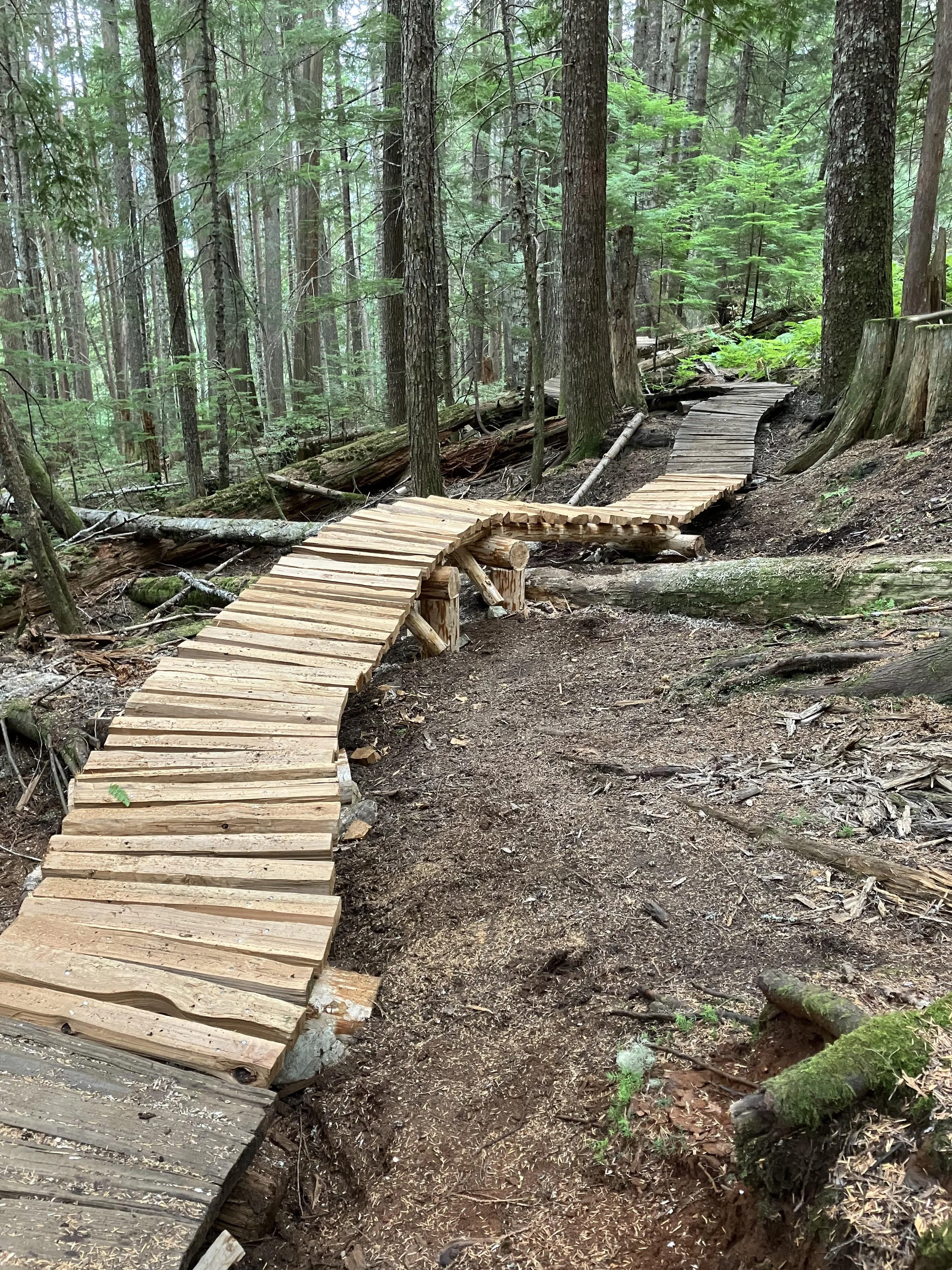 Trails Update: September 9th, 2023 