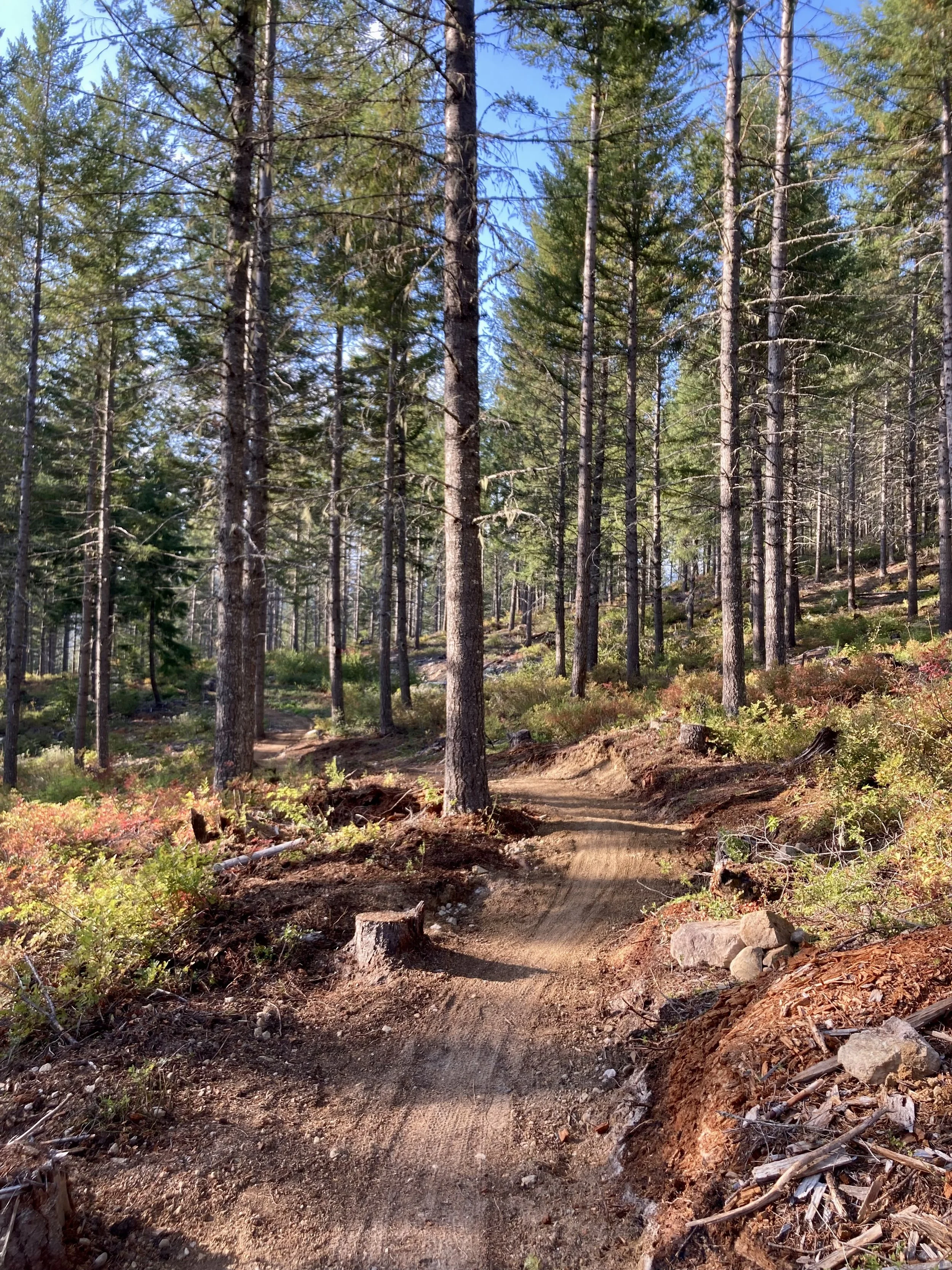 Trails Update: September 22nd, 2023